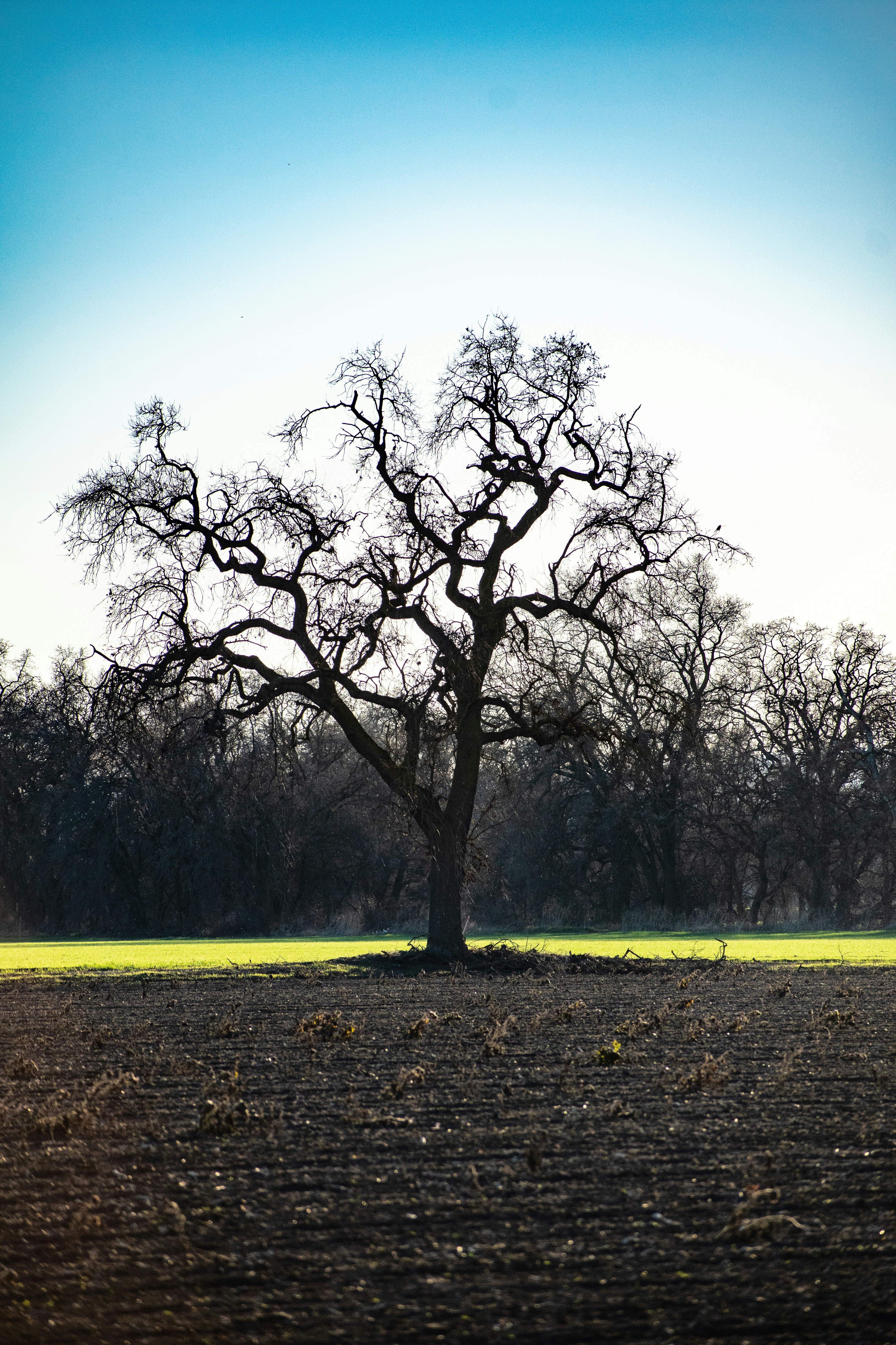 Photo by elisastonephotography