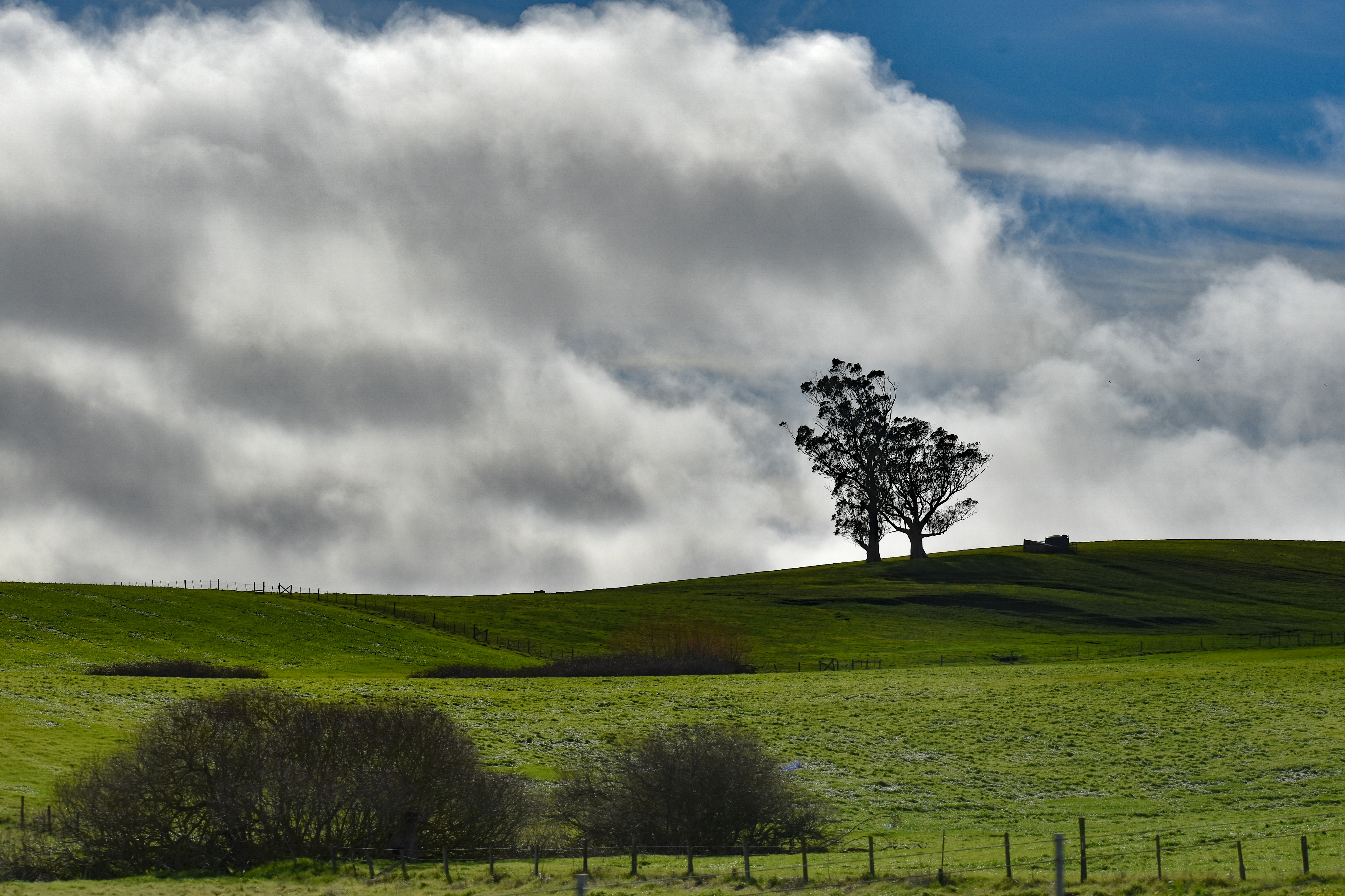 Photo by elisastonephotography