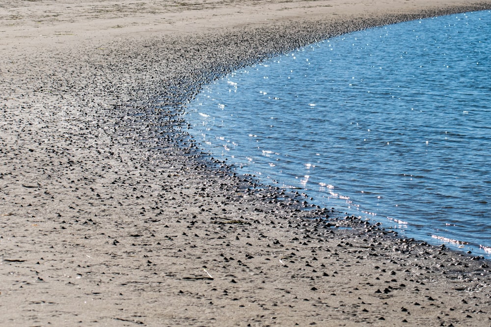 blue sea water during daytime