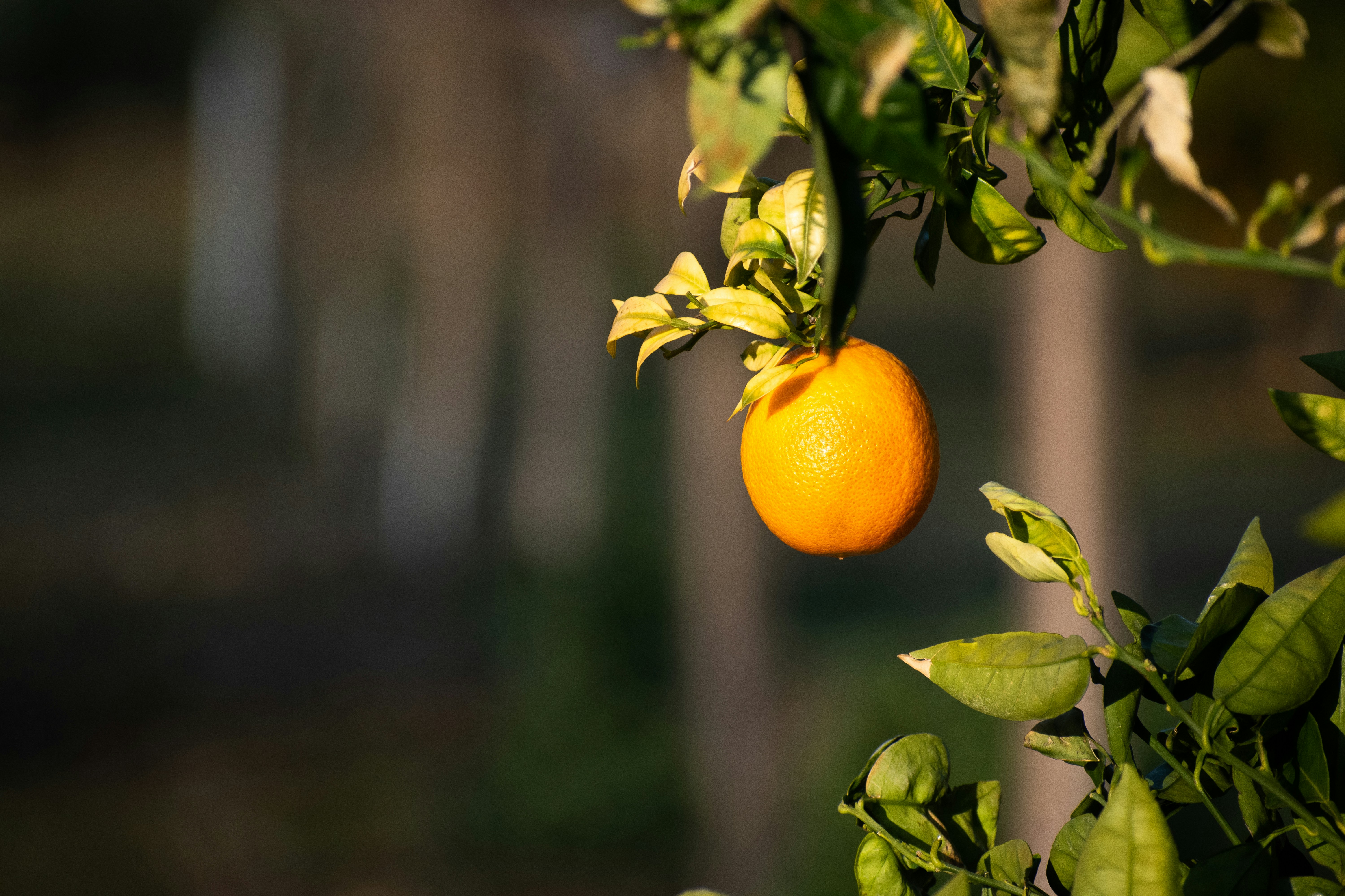 Photo by elisastonephotography