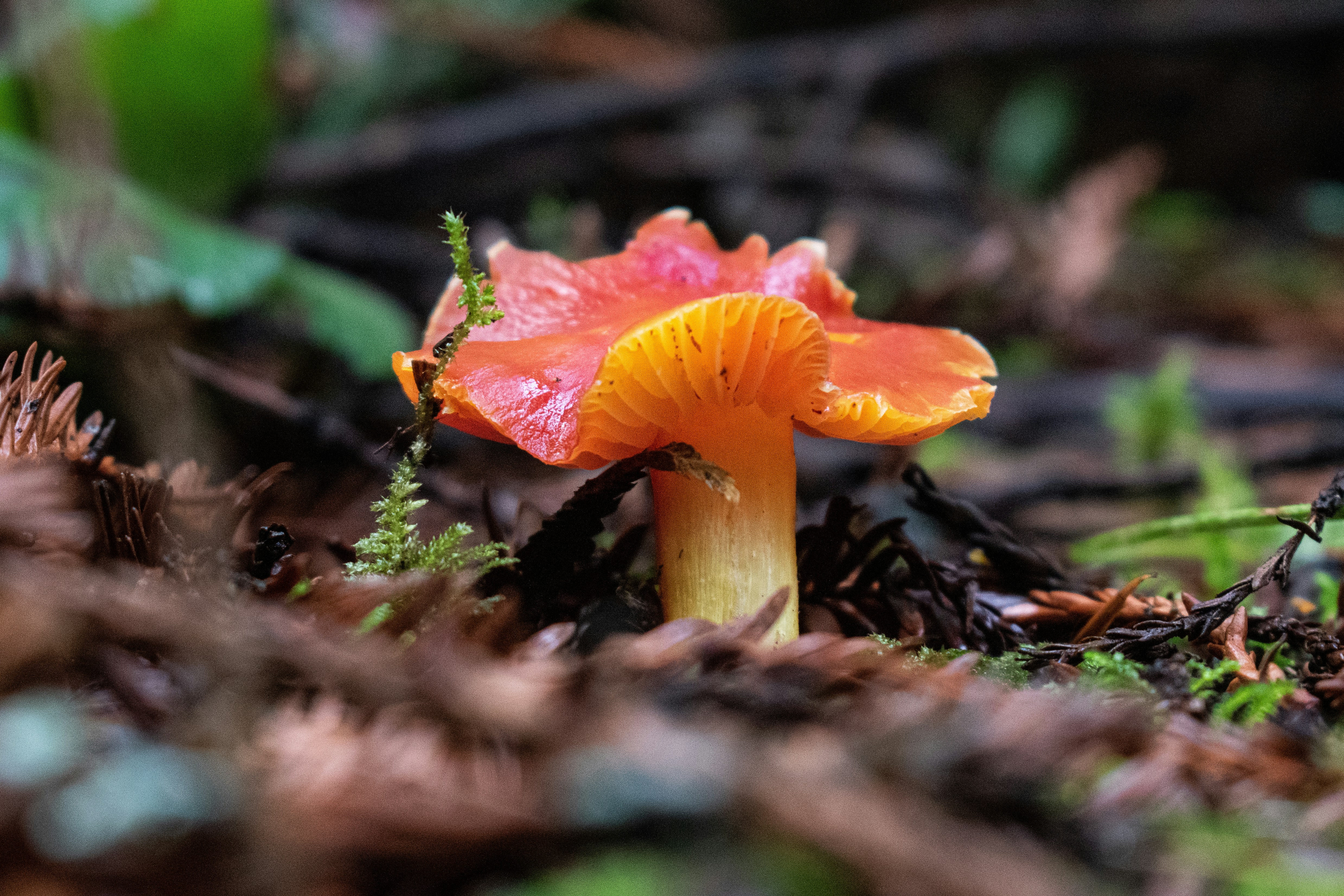 Photo by elisastonephotography