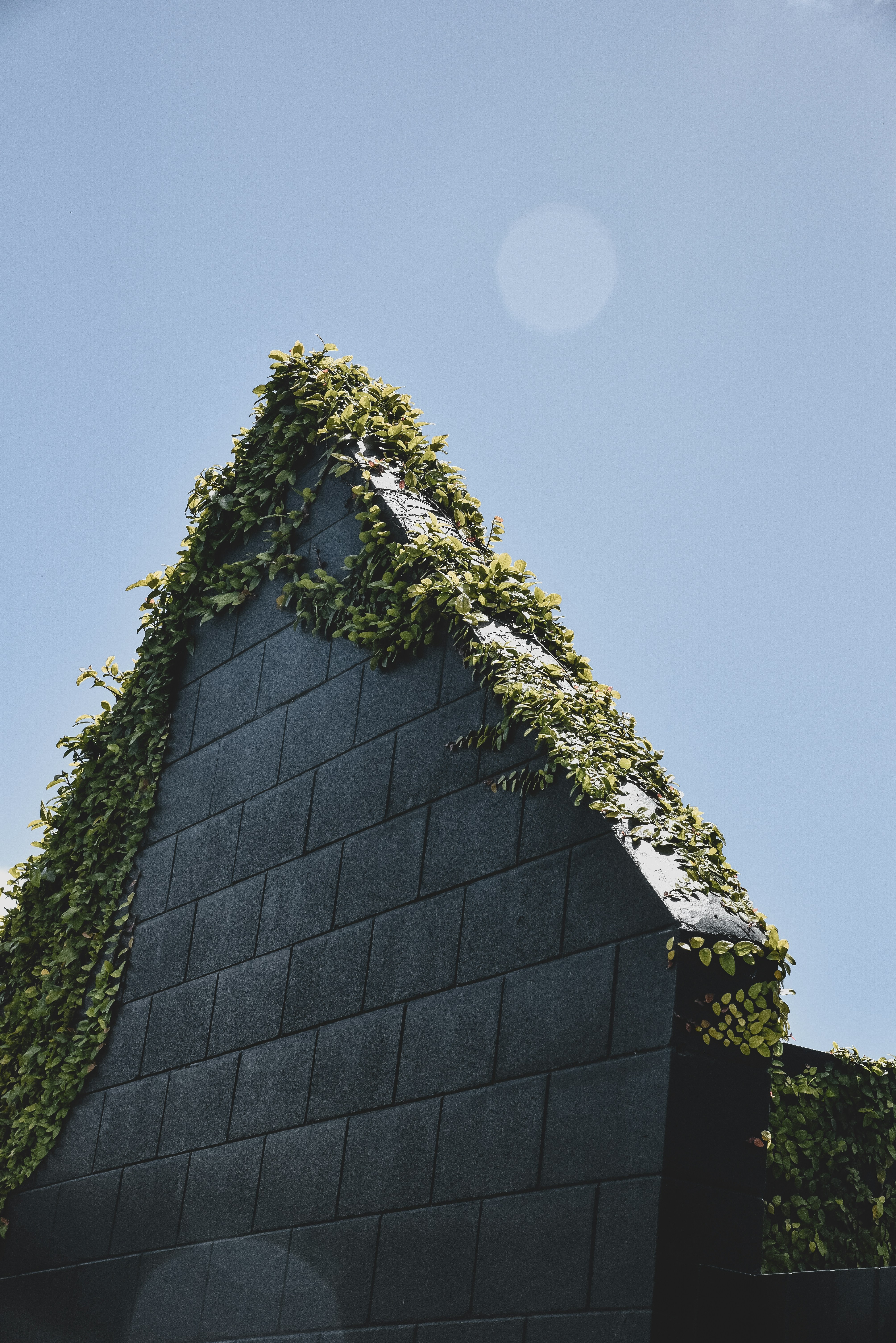 Black Brick House Under Blue Sky During Daytime Photo Free Plant Image On Unsplash