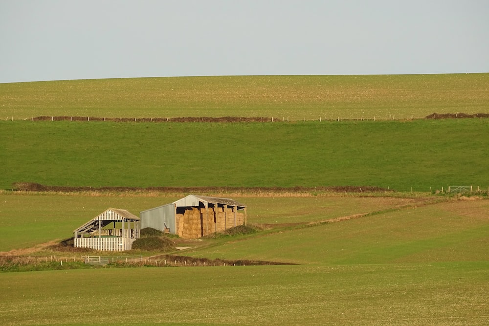 brown wooden house on green grass field during daytime