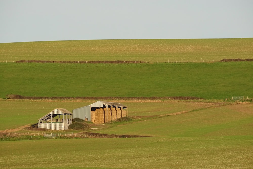 casa de madeira marrom no campo verde da grama durante o dia