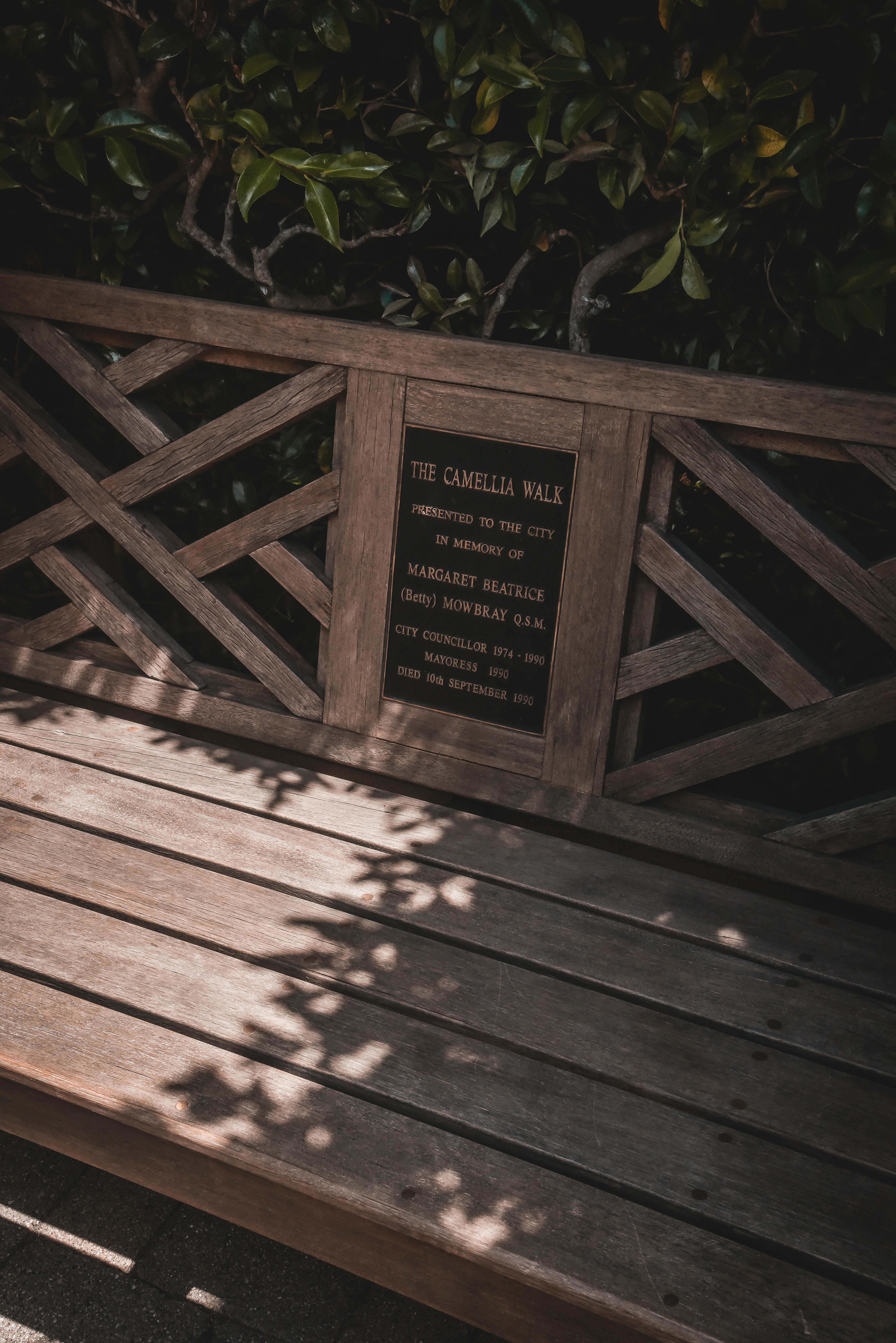 Beacons banner for @melinda
