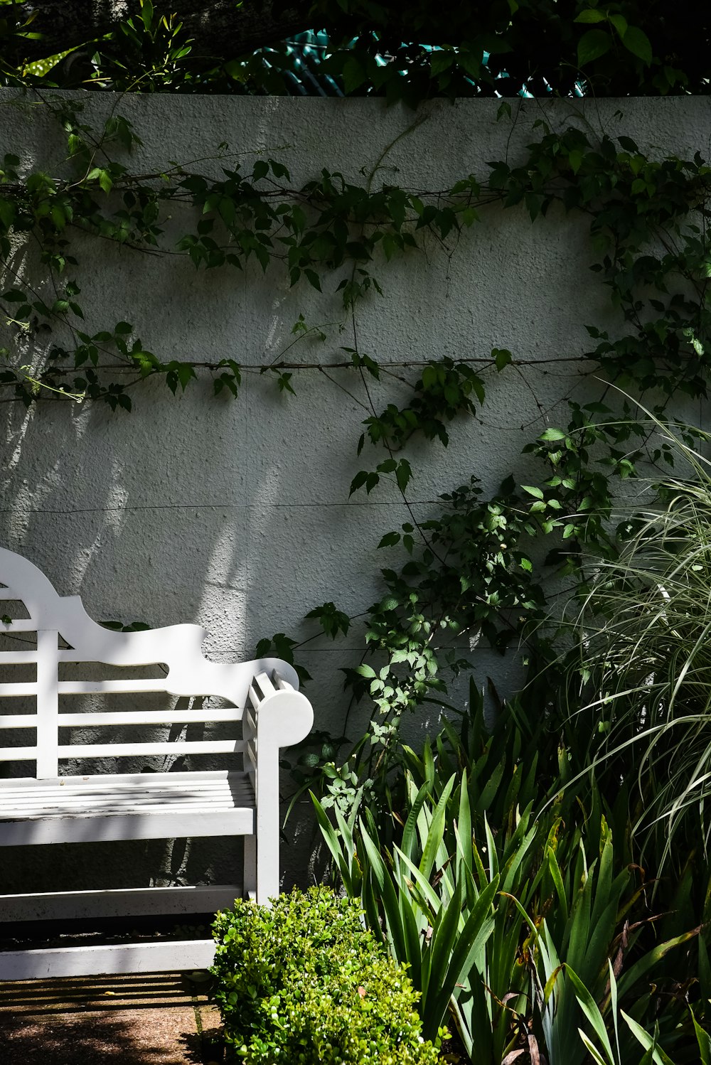 white wooden bench beside gray concrete wall