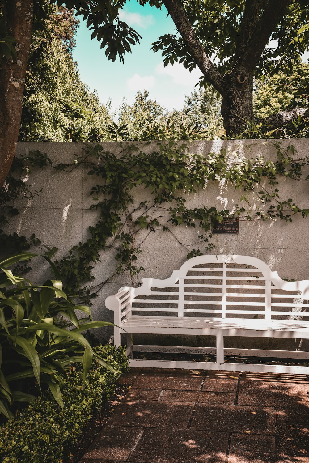 banco de madeira branco perto de plantas verdes