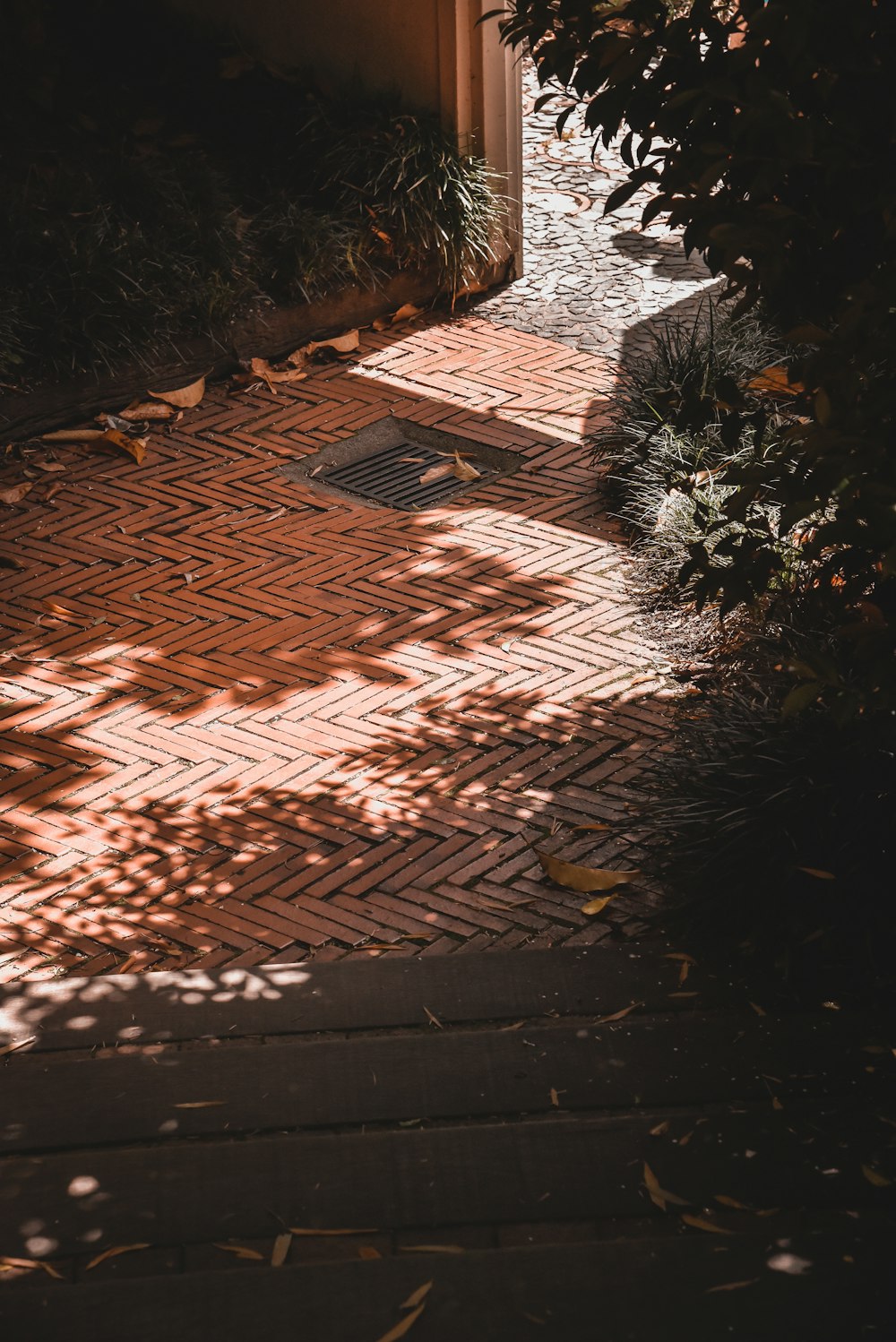 brown and beige area rug