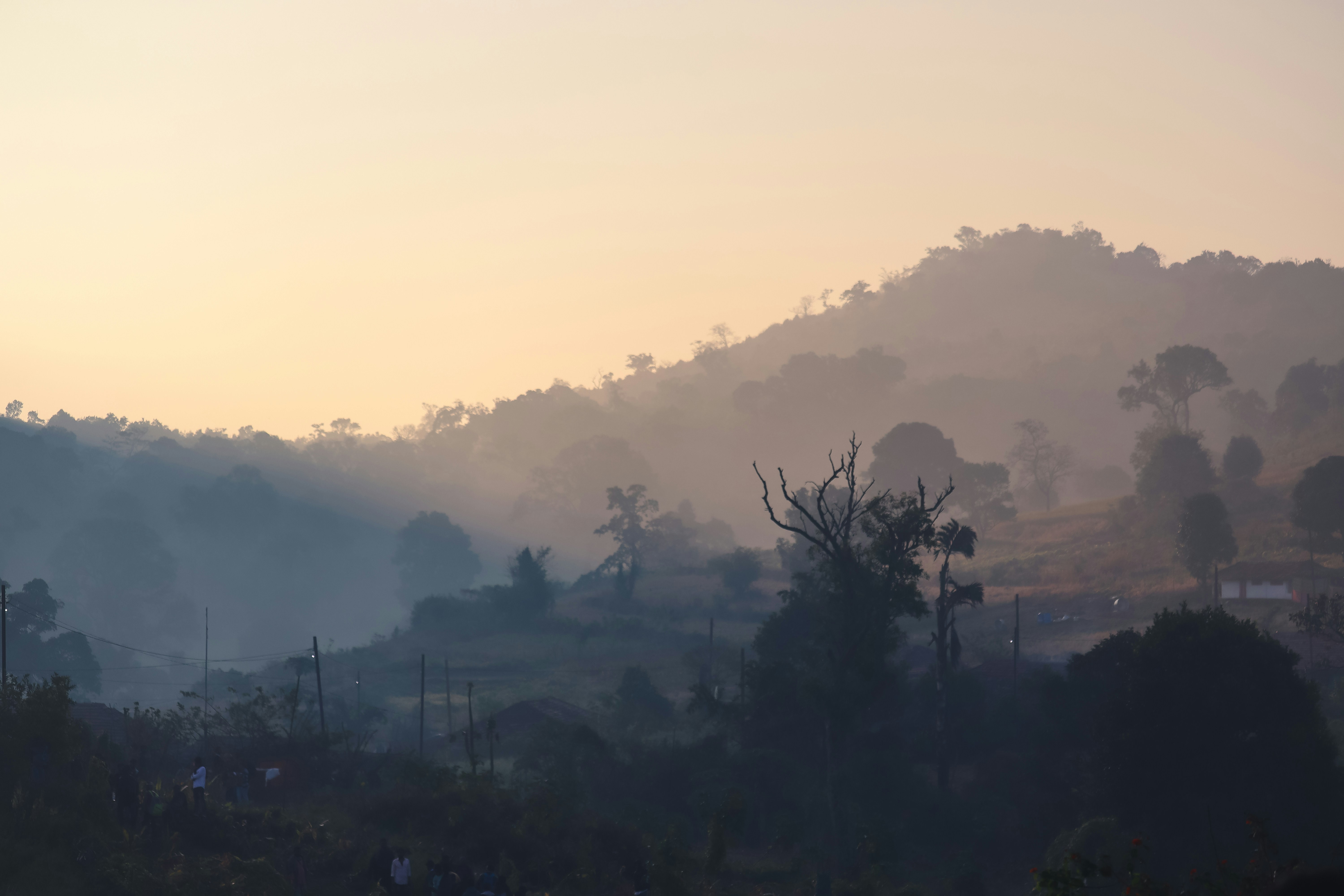 Photo by vamsi_badireddi