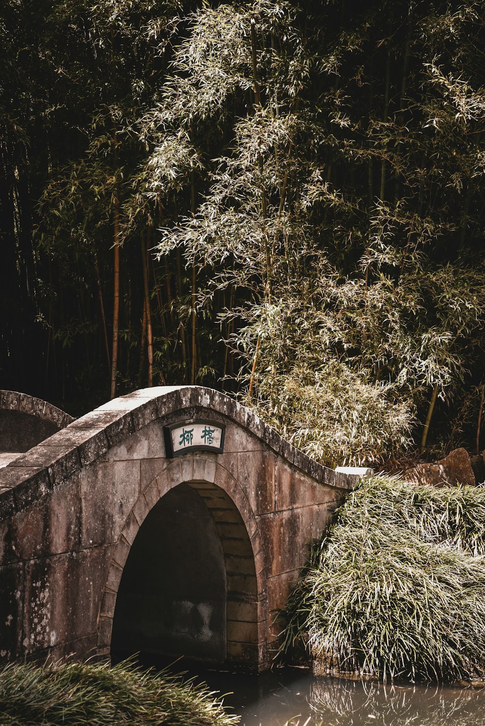 brown concrete bridge surrounded by green trees during daytime