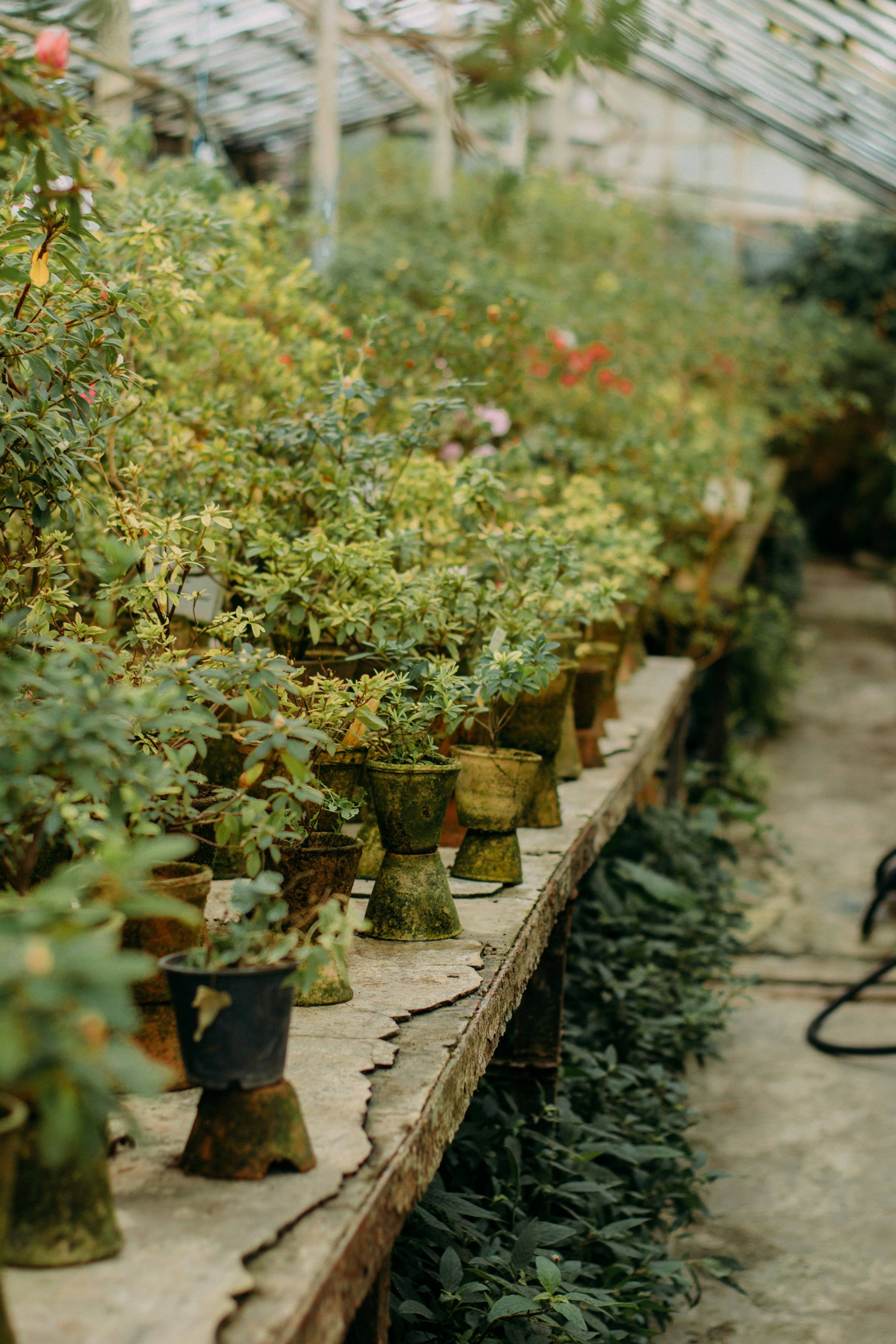 Photo by eugenivy_now