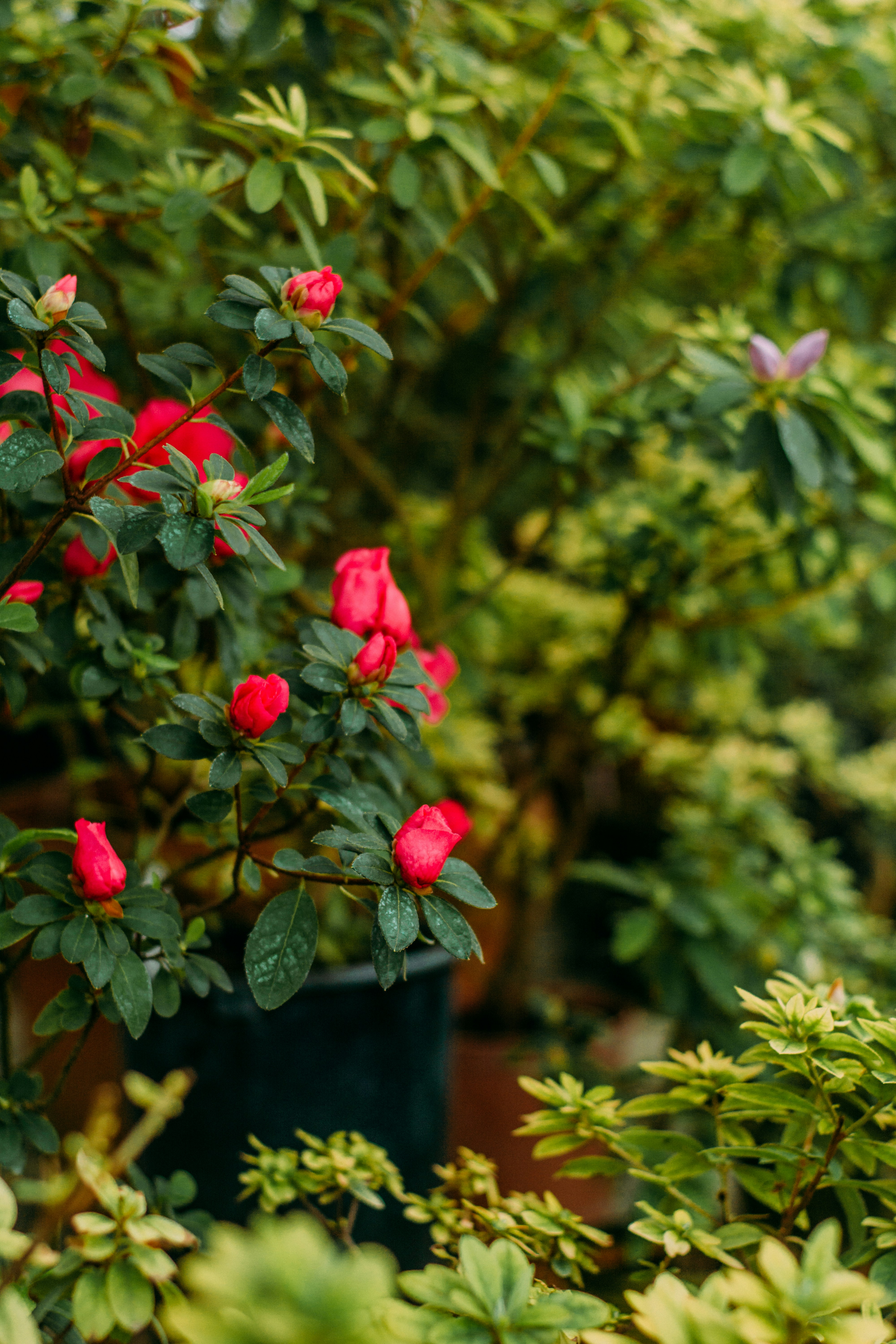 Photo by eugenivy_now