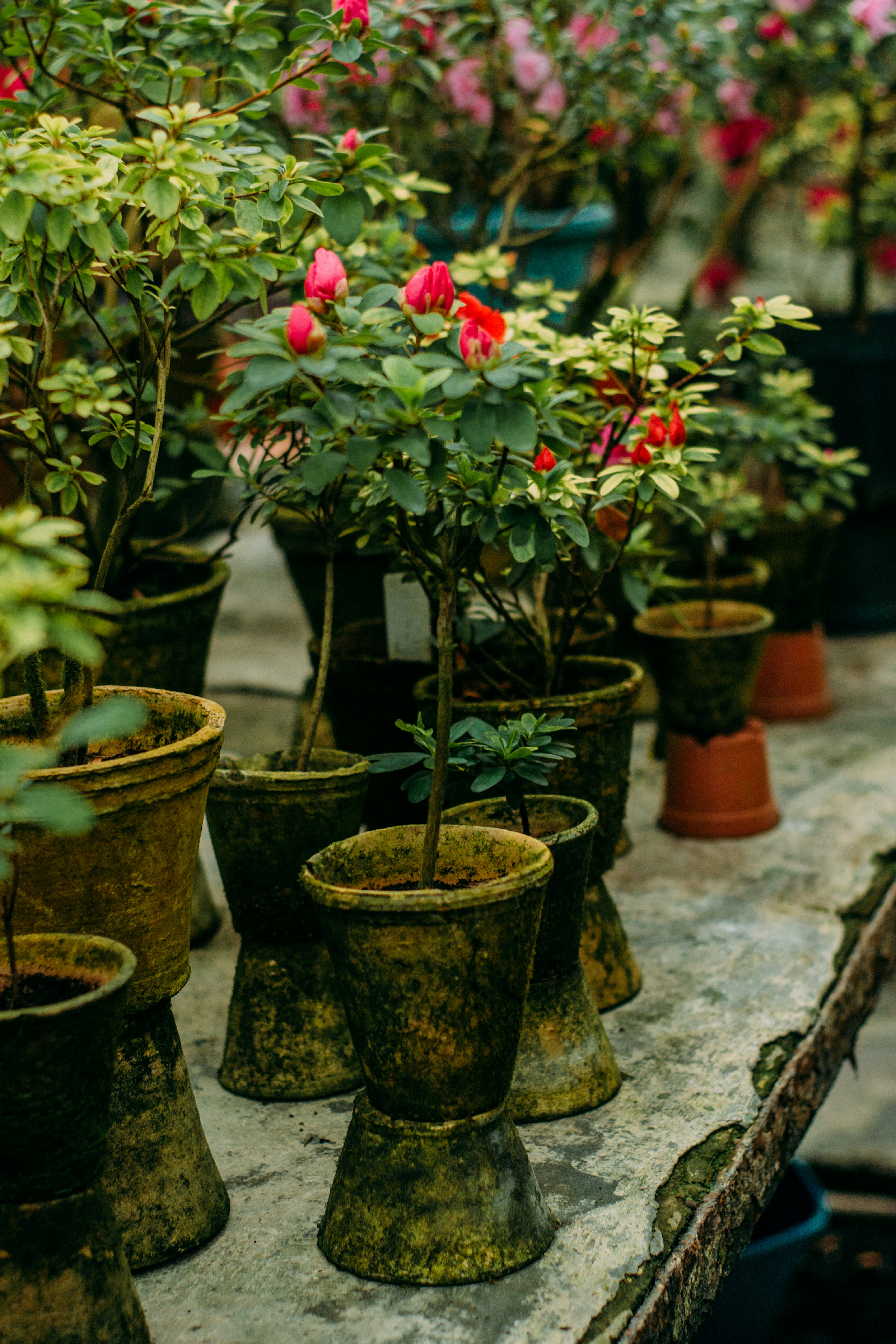 Photo by eugenivy_now