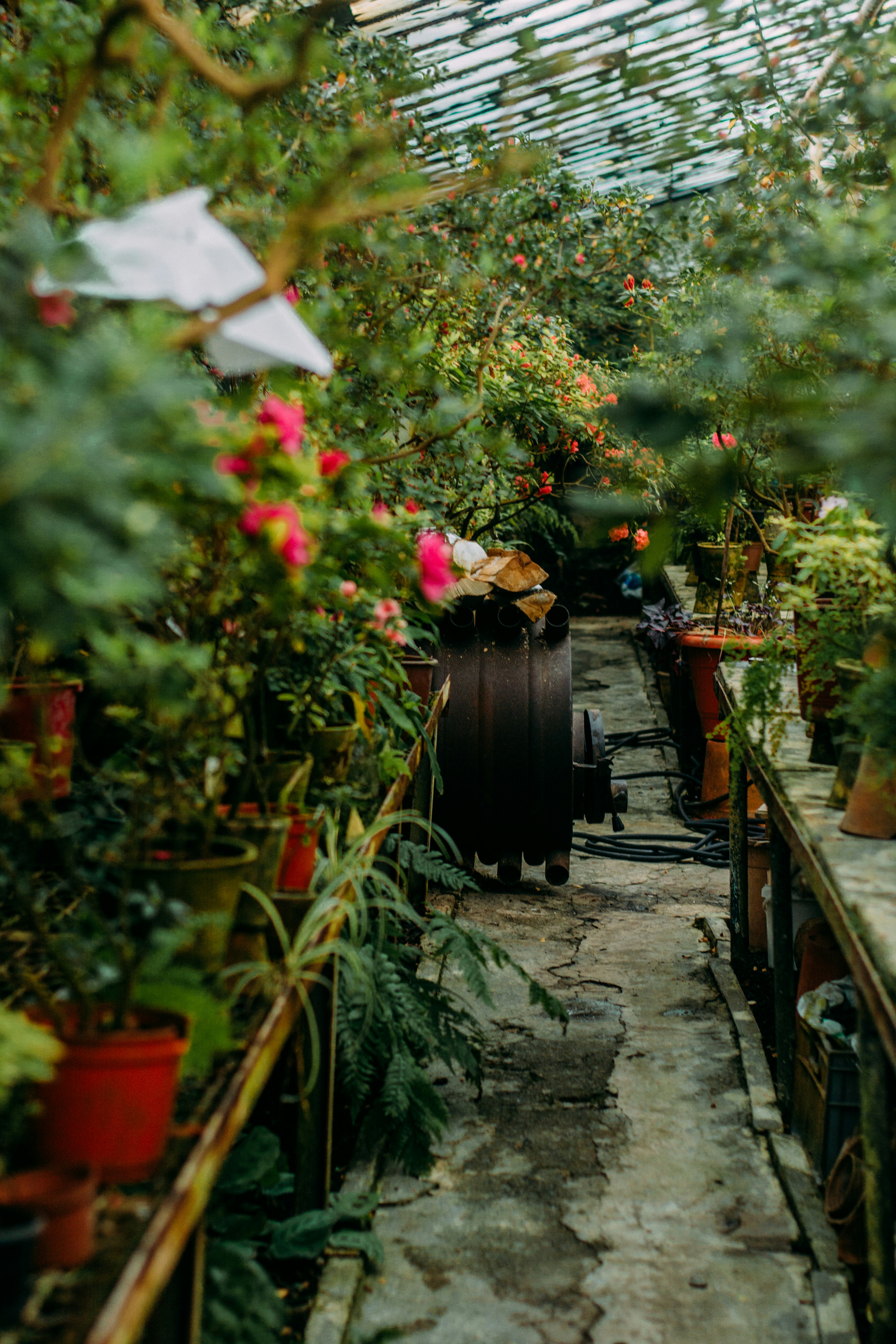 Photo by eugenivy_now