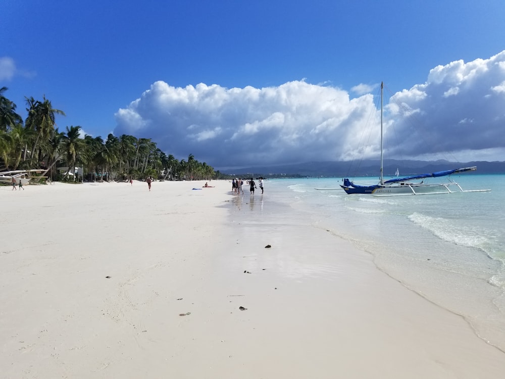 people on beach during daytime