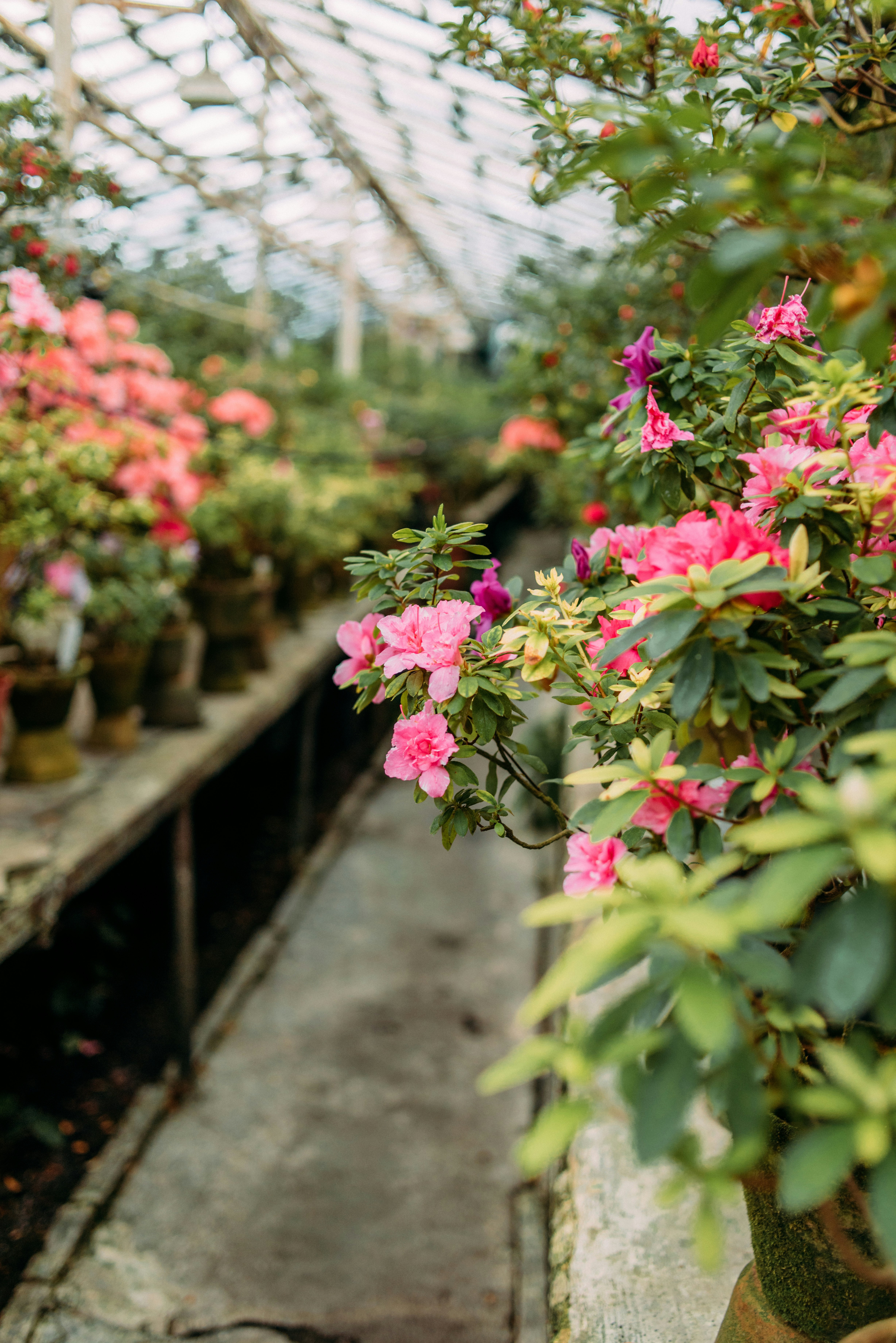 Photo by eugenivy_now