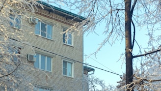 An apartment building with a brick facade is visible amid a wintry scene. Frost-covered branches from nearby trees frame the building, and the sky is clear and blue.
