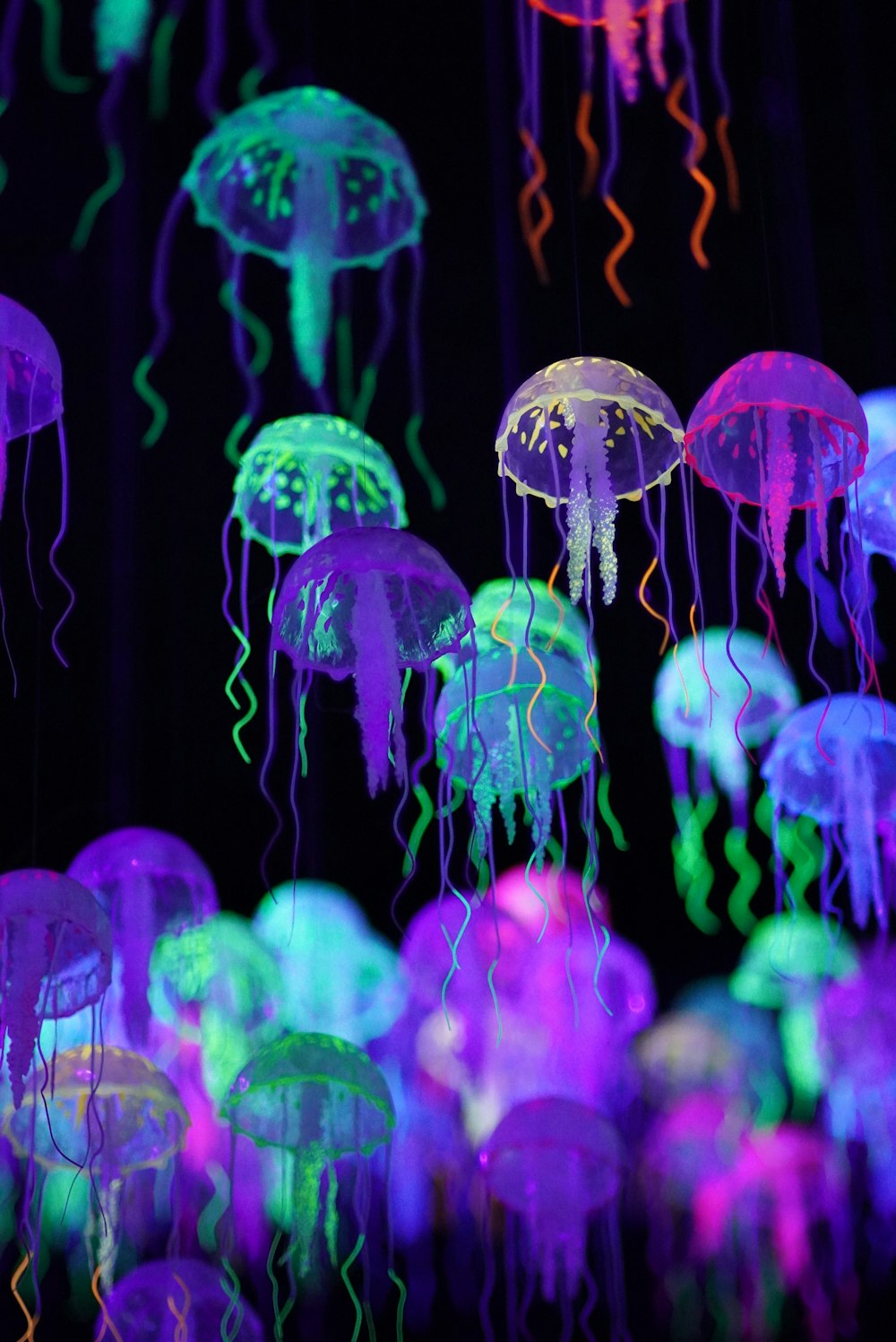 Ilustración de medusas azules y rosadas