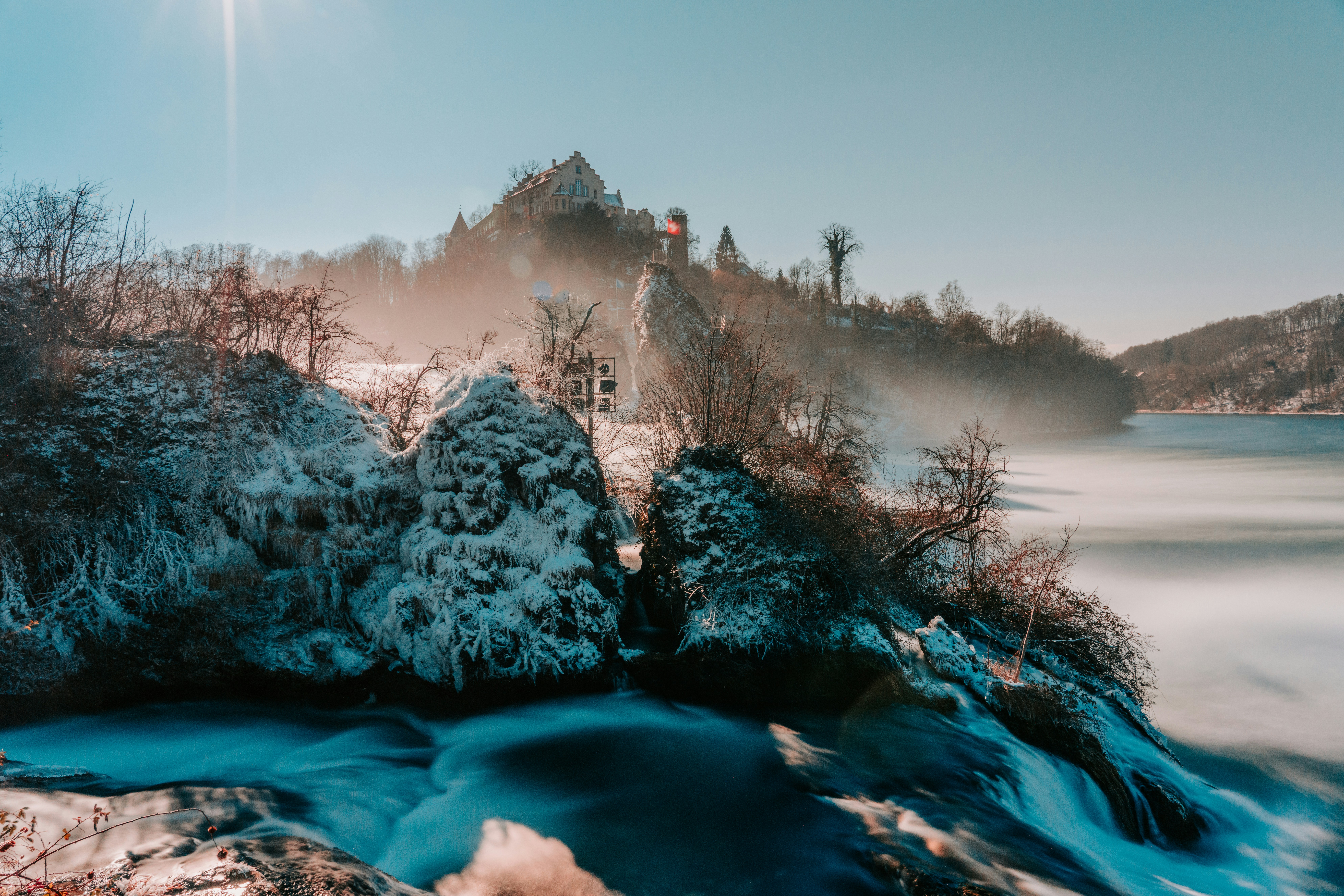 snow covered trees and plants near body of water