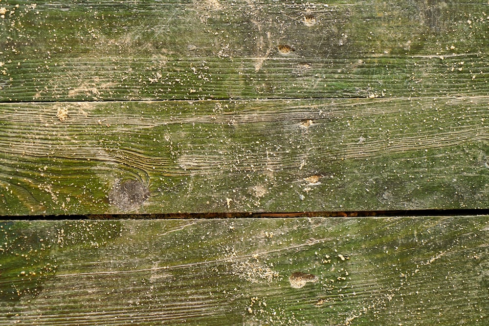 a bird is perched on a wooden fence