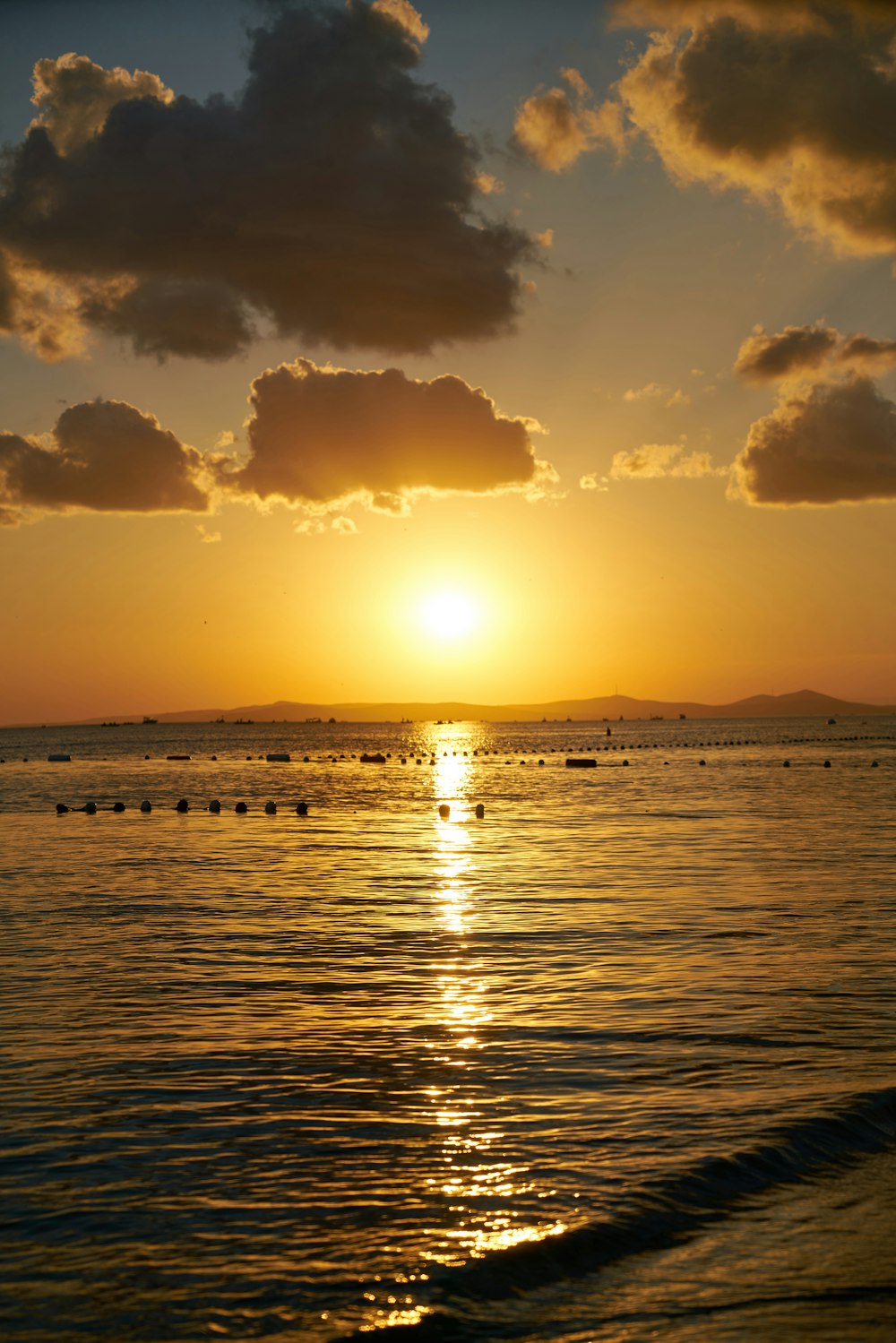 silhouette of people on beach during sunset