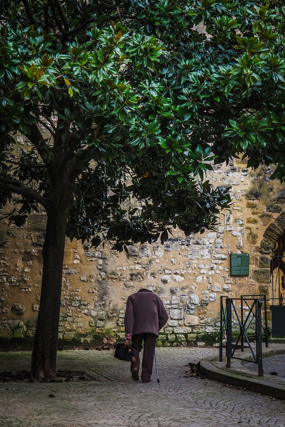 Persona in camicia rosa a maniche lunghe in piedi vicino all'albero della foglia verde durante il giorno