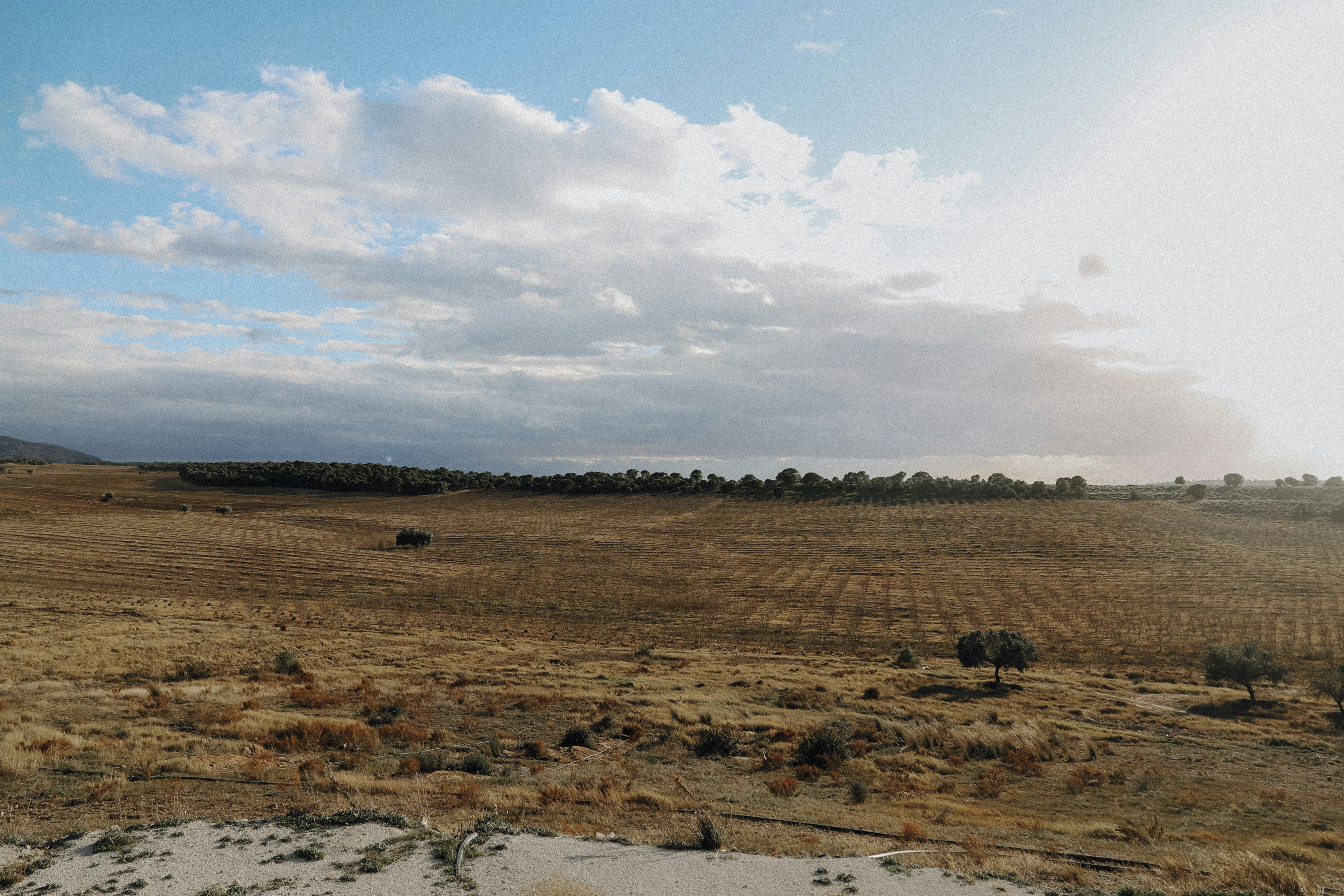 brown grass field under white clouds during daytime