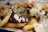 A close-up of golden loaded fries topped with melted cheese and sprinkles of herbs.
