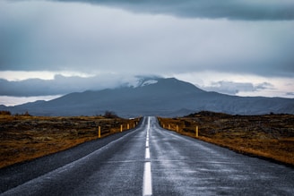 Winter wonders of Reykjavik and the Golden Circle for families