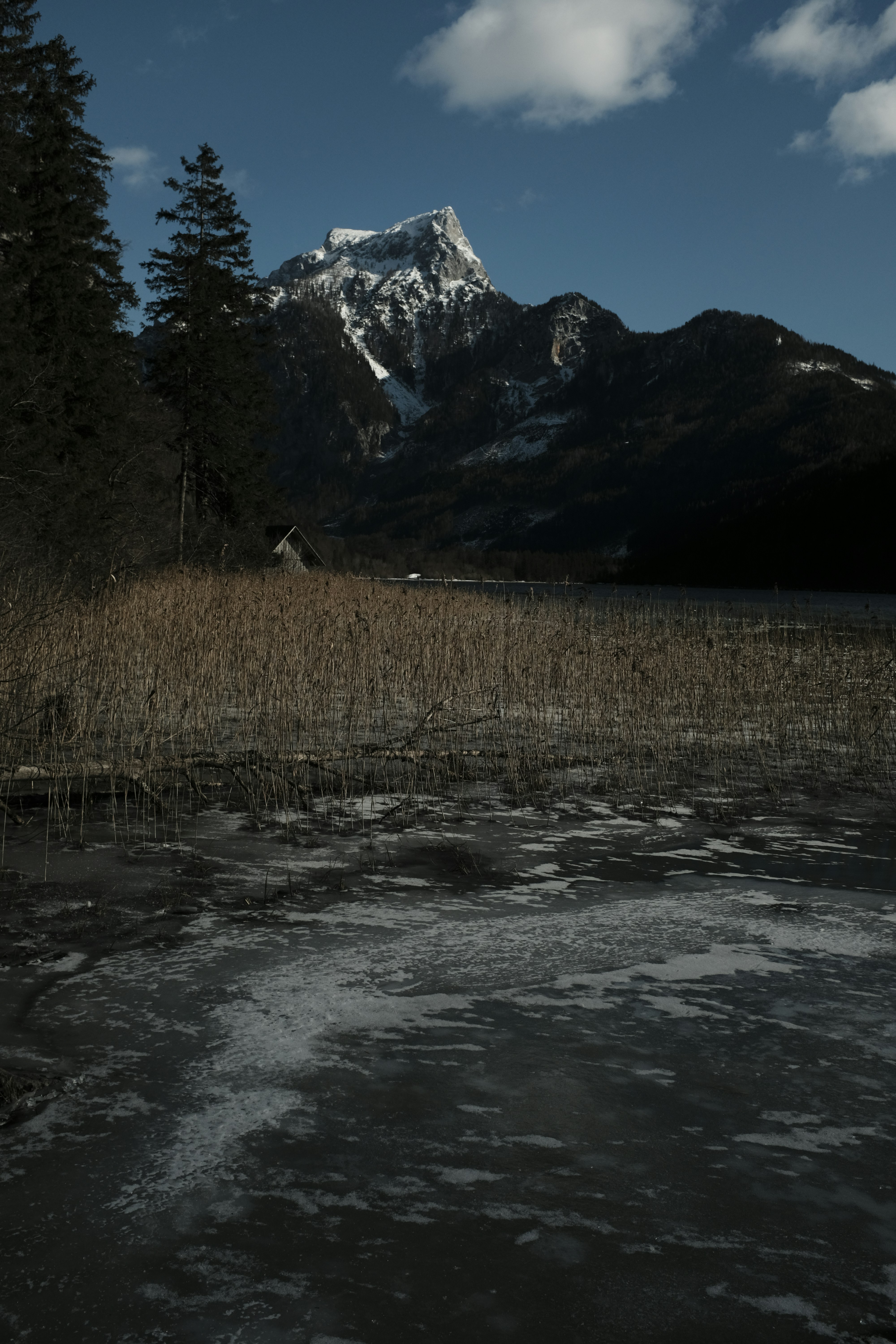 Photo by studiopizza