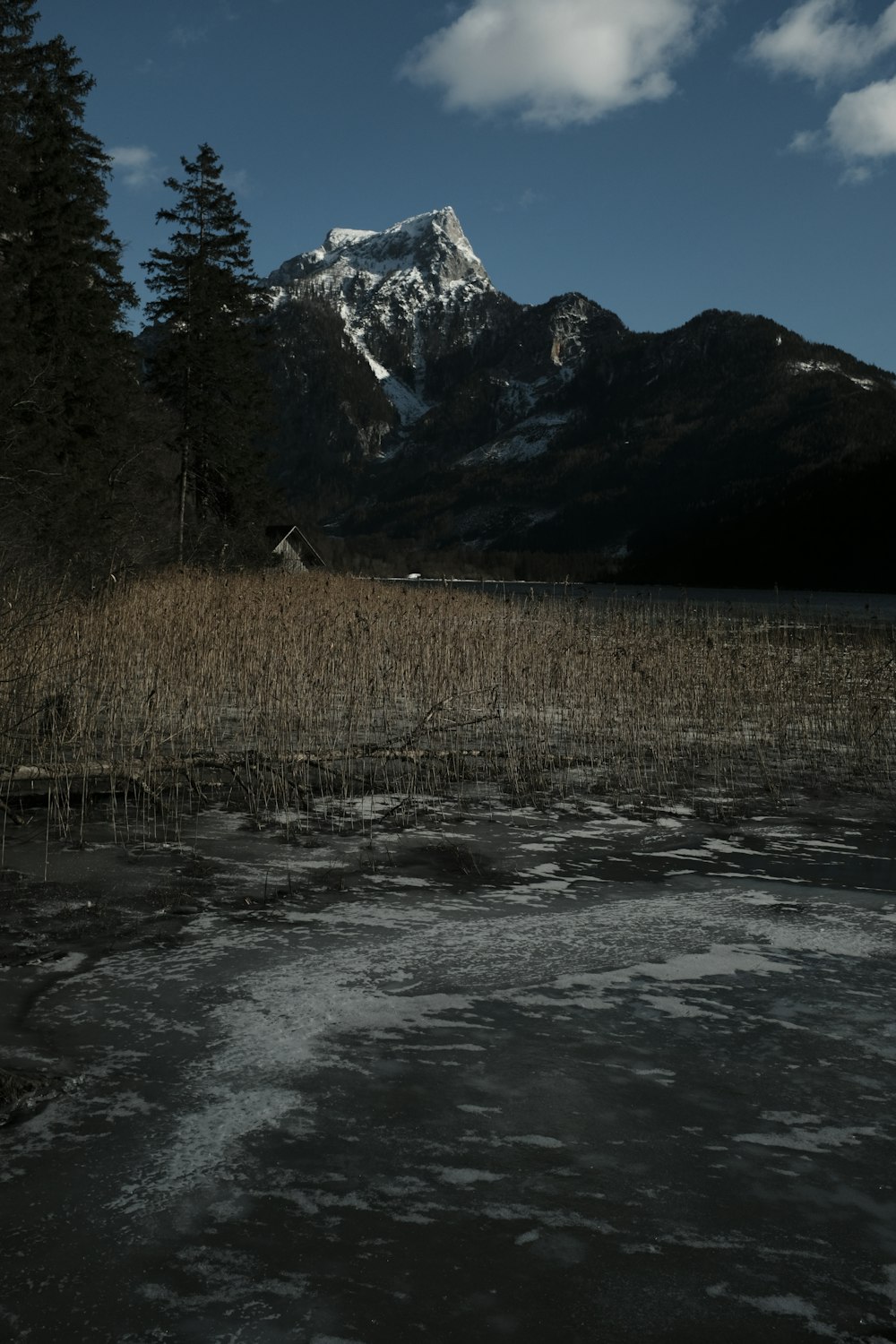 brown grass near body of water and snow covered mountain during daytime