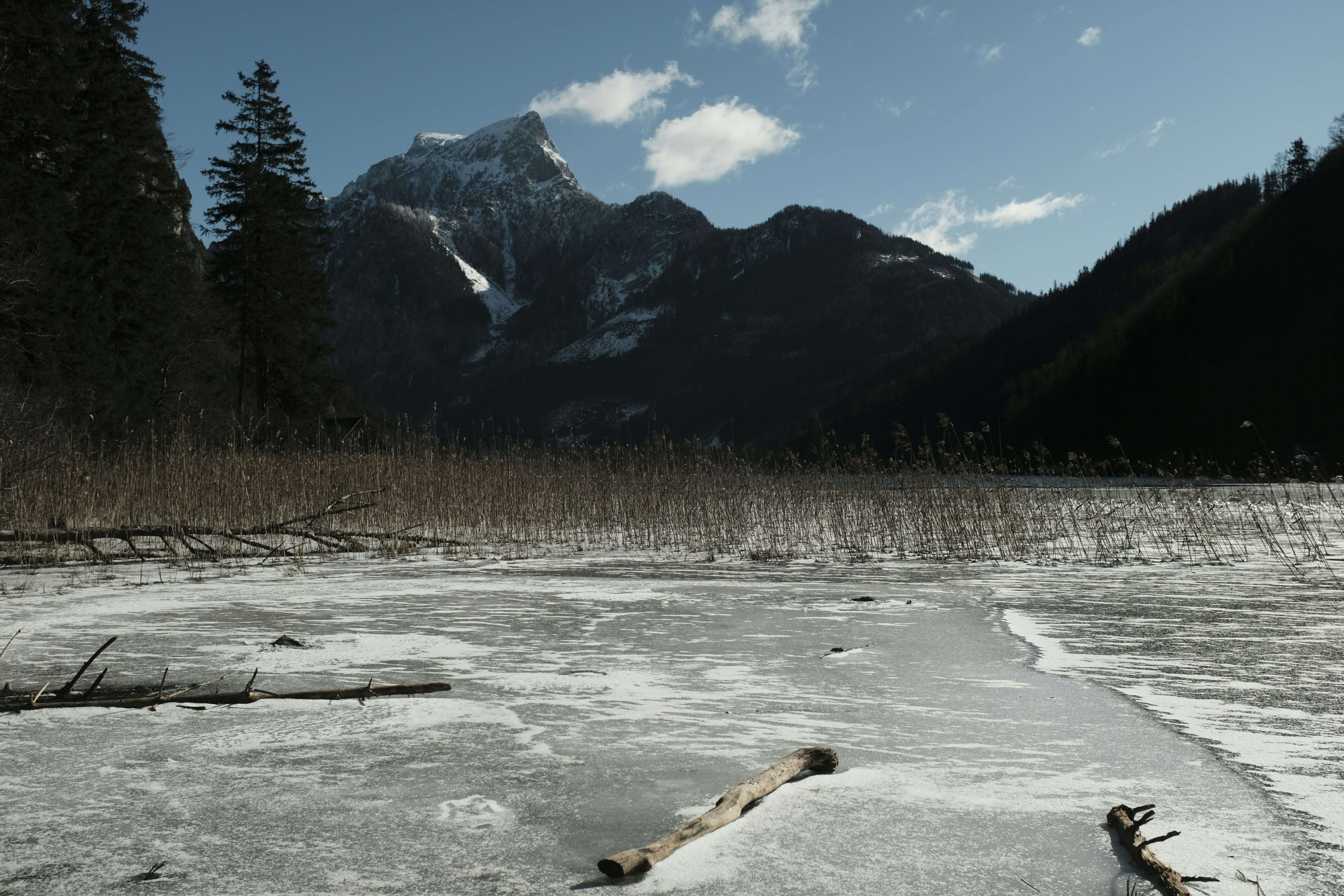 Photo by studiopizza