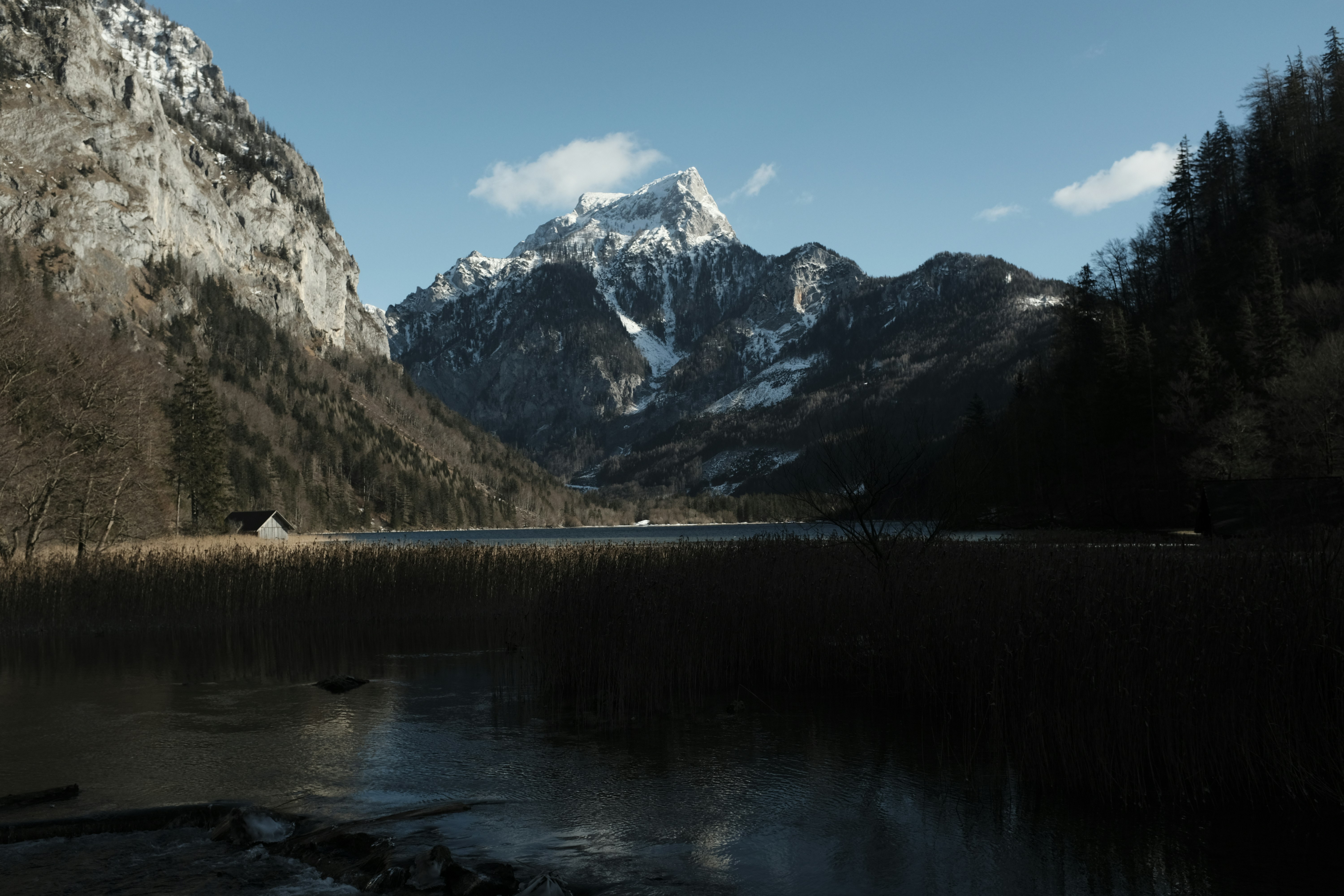 Photo by studiopizza