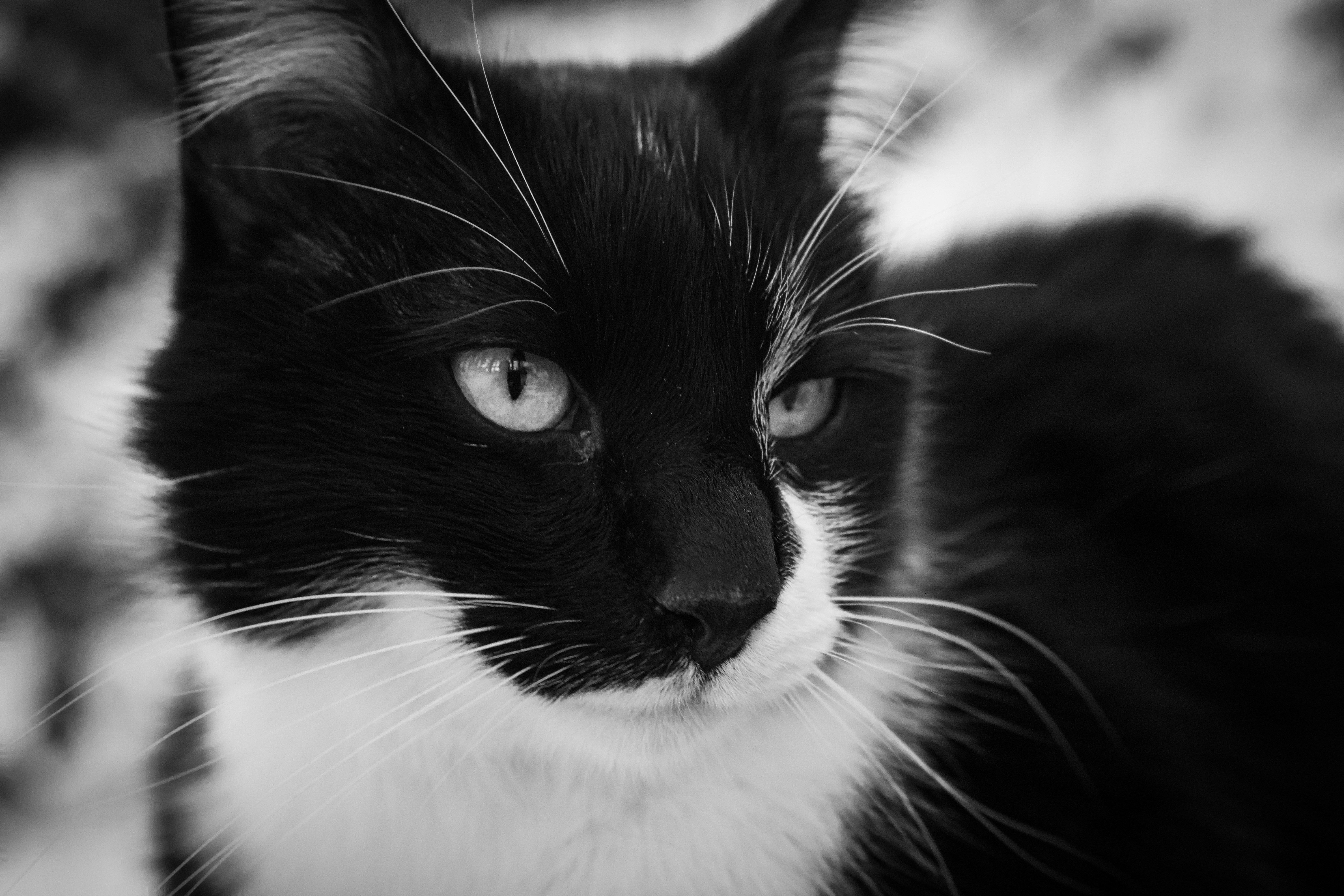 Photo by christianlue