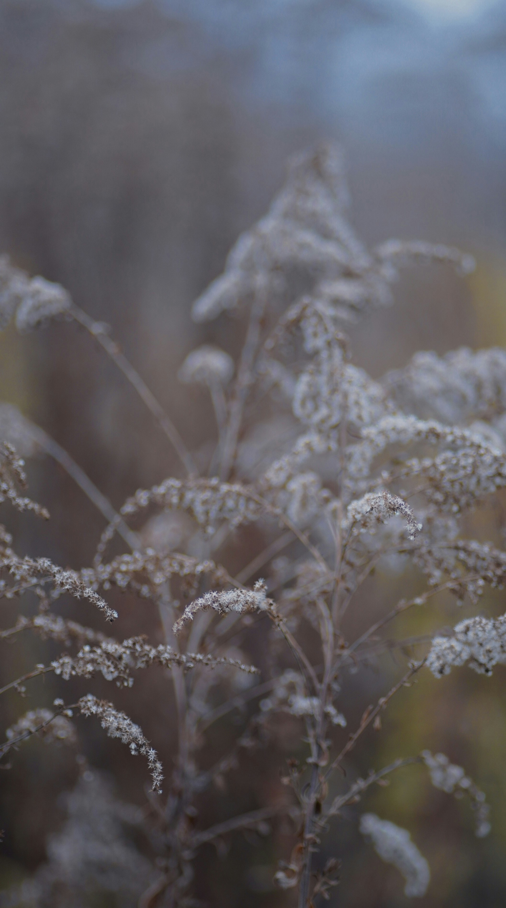 Photo by annabell_flem