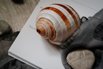 Close-up of a notebook with audit notes and a pen resting beside a seashell.