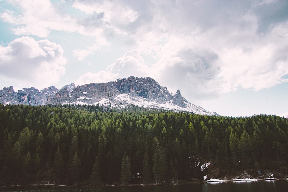 green pine trees near snow covered mountain under white cloudy sky during daytime