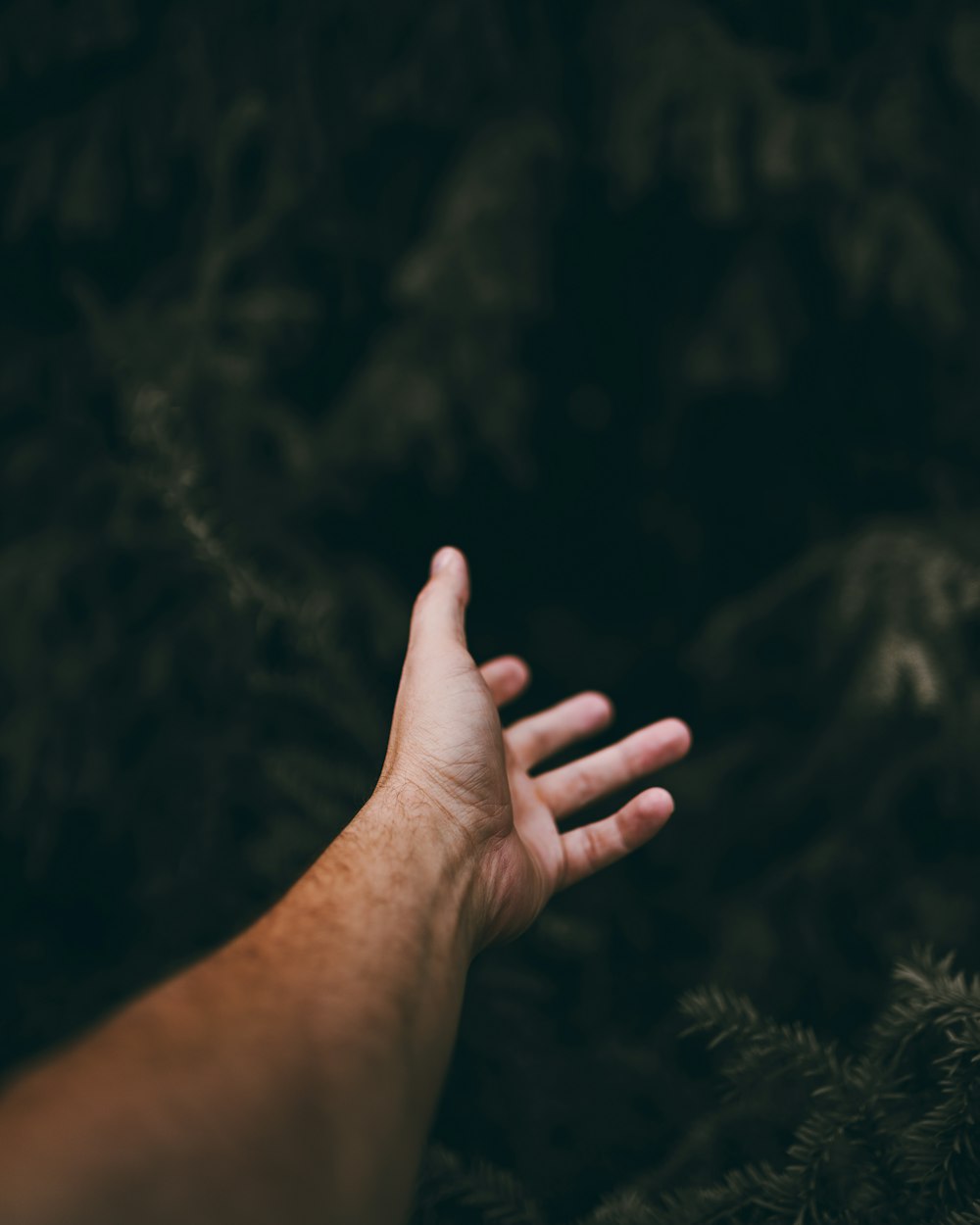 persons left hand with black background