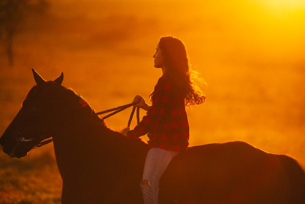 Femme en chemise à manches longues rouge et pantalon blanc debout à côté de  cheval brun pendant le coucher du soleil photo – Photo Orange Gratuite sur  Unsplash