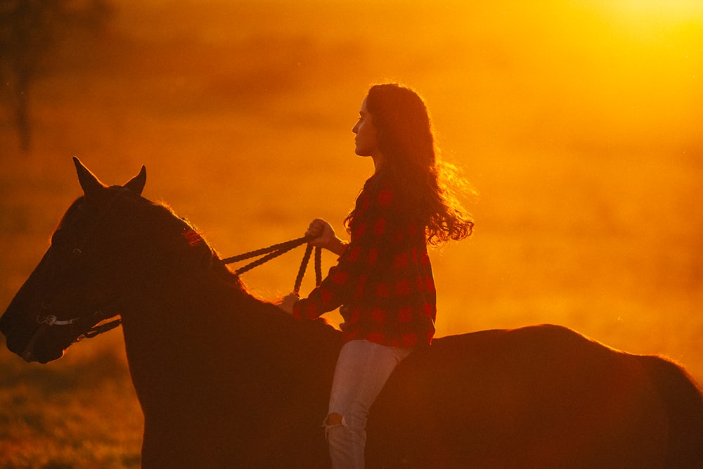 woman in red long sleeve shirt and white pants standing beside brown horse during sunset