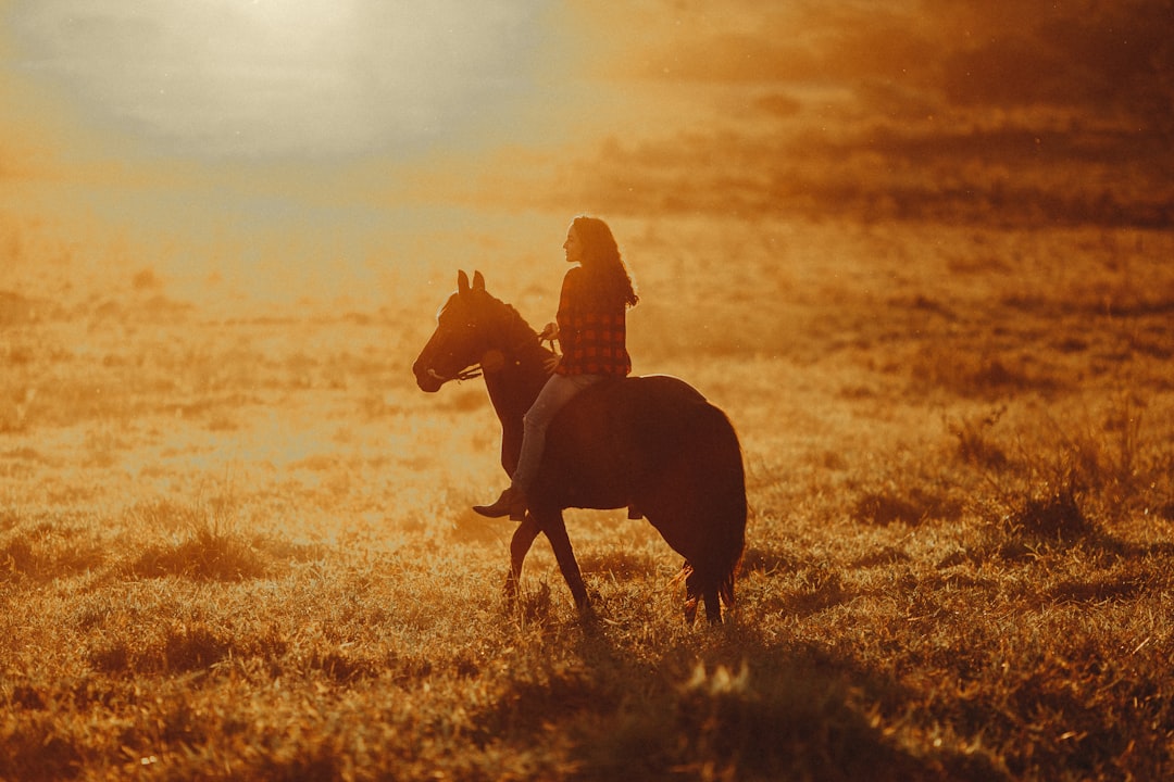 woman in black jacket riding brown horse on brown grass field during sunset