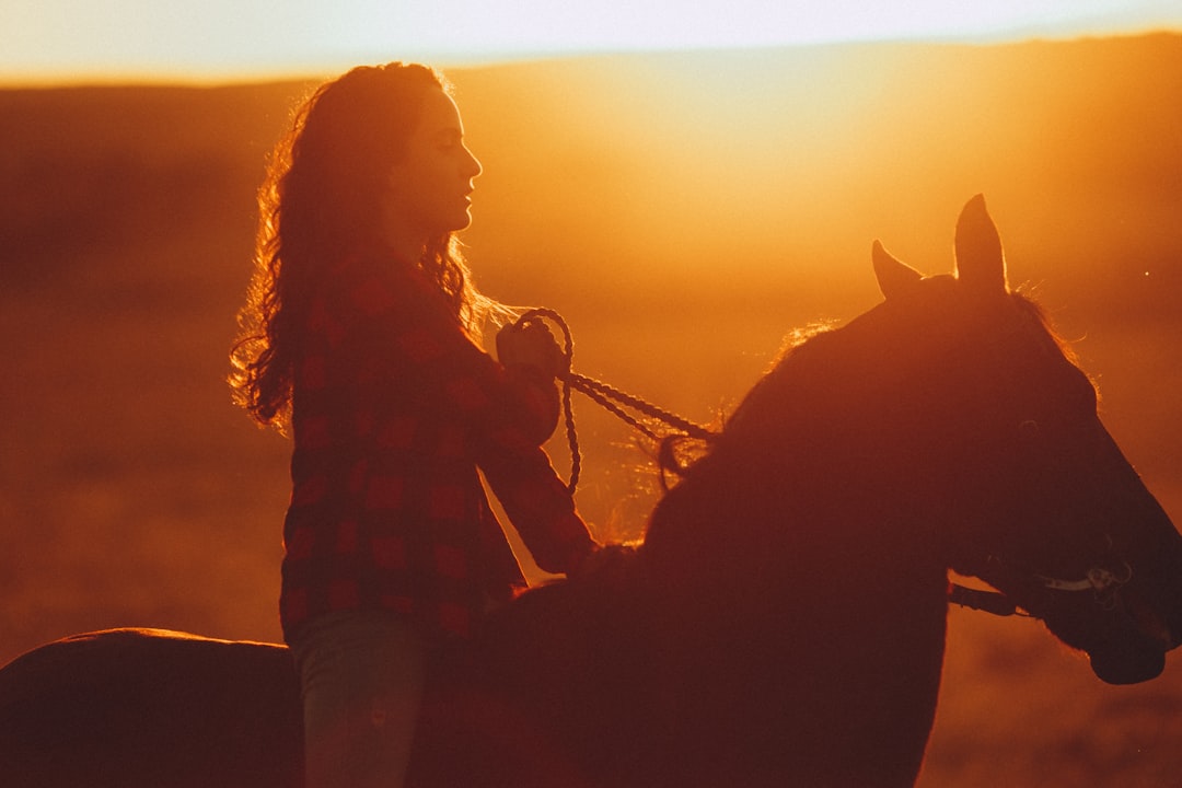 silhouette of woman standing beside horse during sunset