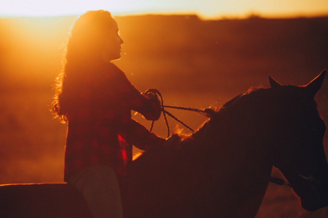 silhouette of man playing violin during sunset