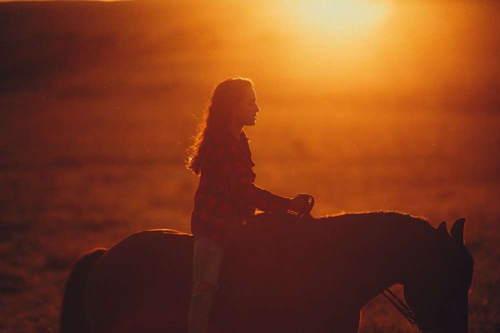 silhouette of woman sitting on brown horse during sunset