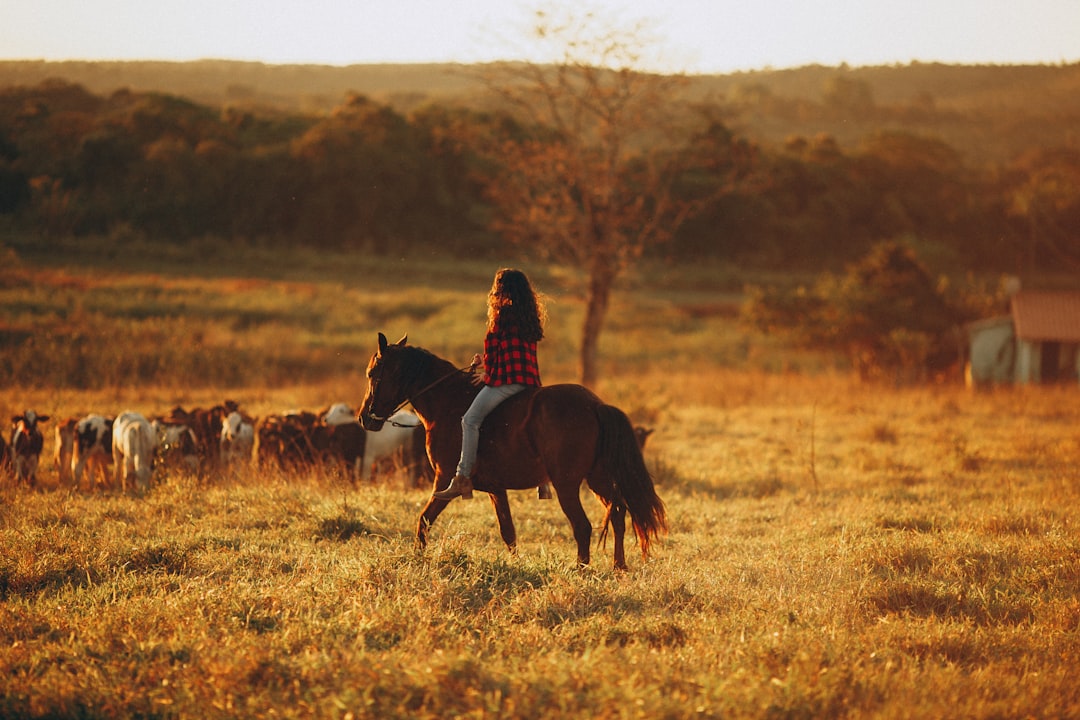 woman riding on brown horse on brown grass field during daytime