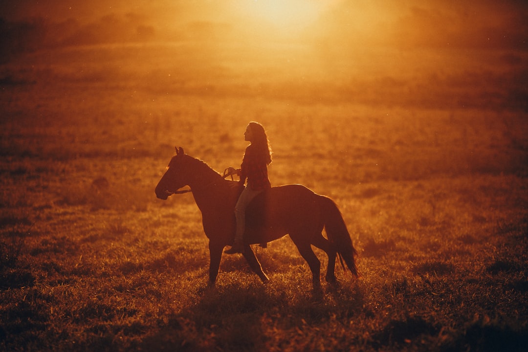 silhouette of person riding horse during sunset