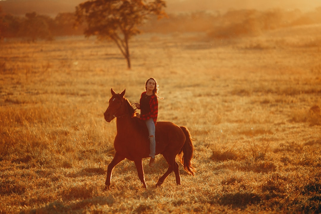 woman in red dress riding brown horse on brown grass field during daytime