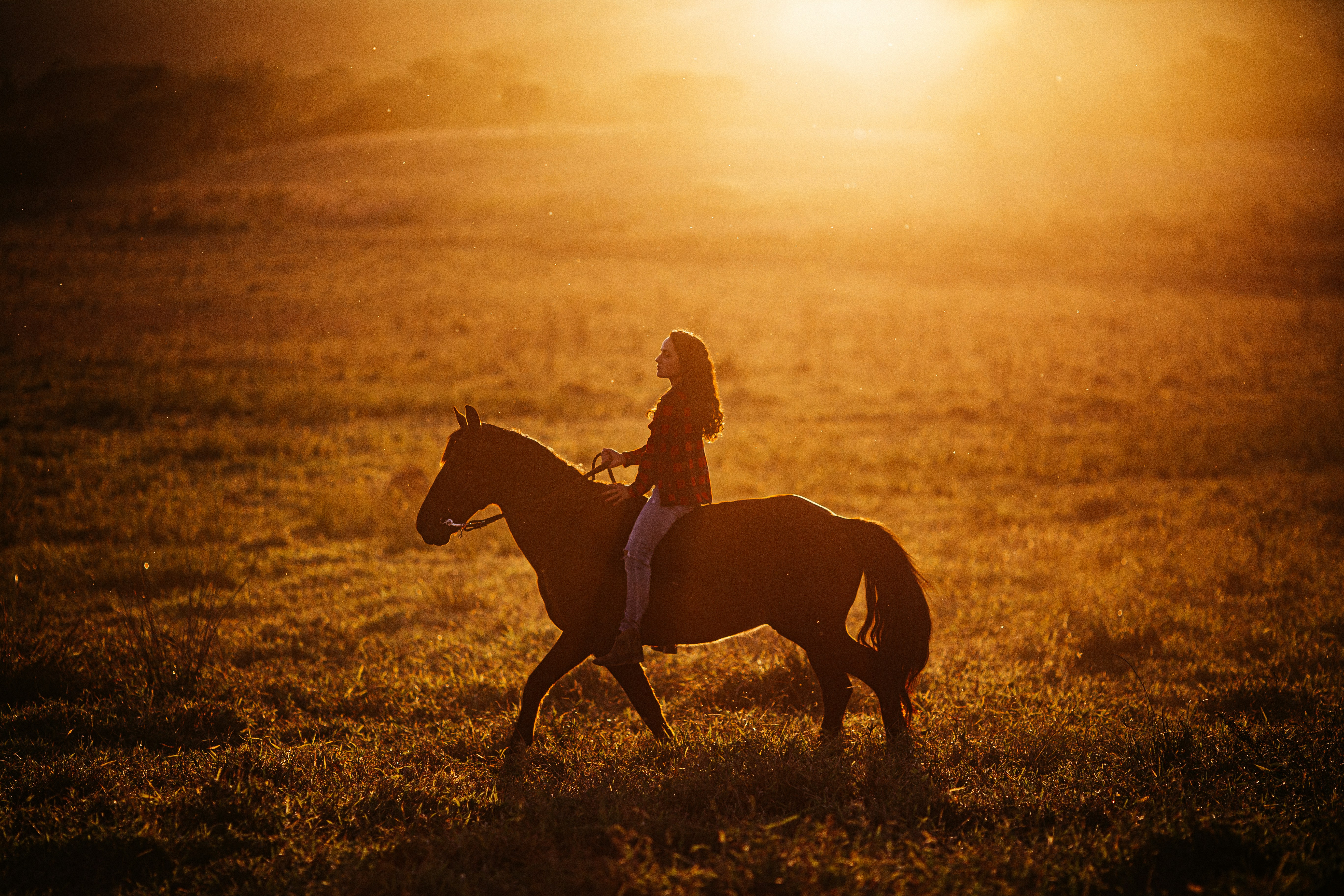 a girl riding a horse in a field at sunset, 