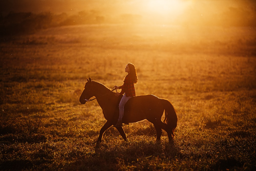 a girl riding a horse in a field at sunset