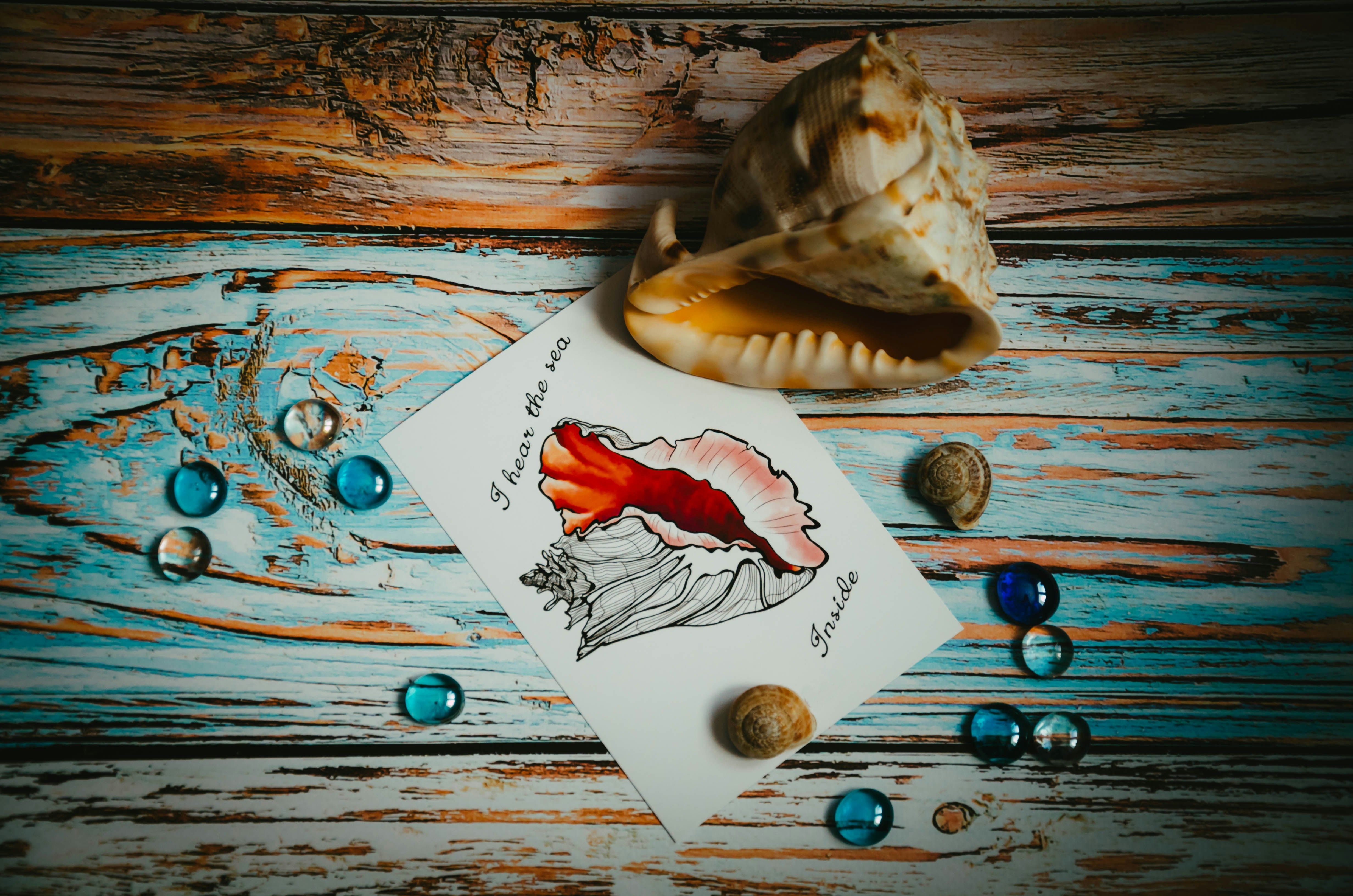 Photo by nika_benedictova